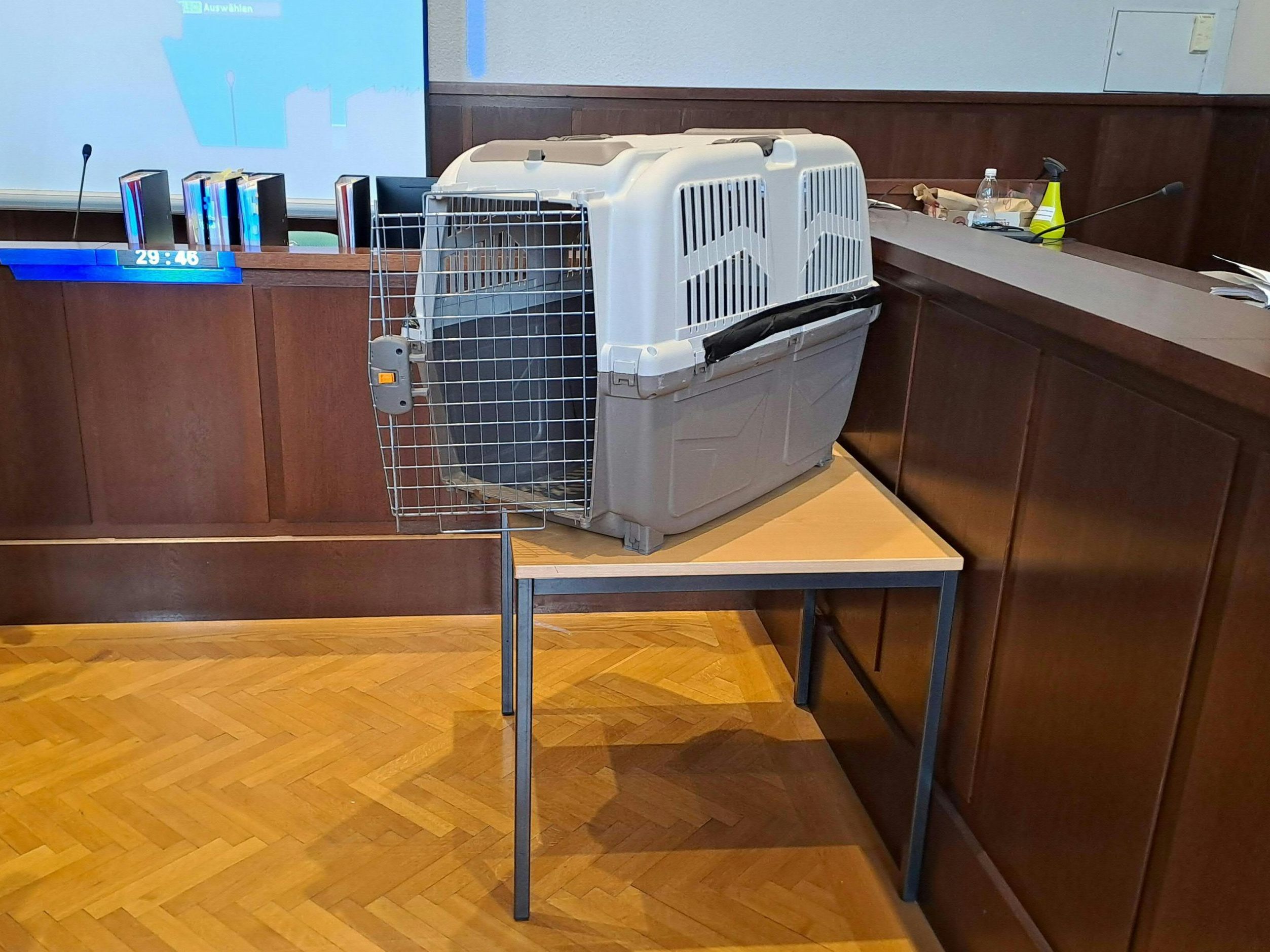 Im Hundebox-Fall kündigte der Opferanwalt eine Amtshaftungsklage gegen das Land NÖ an.