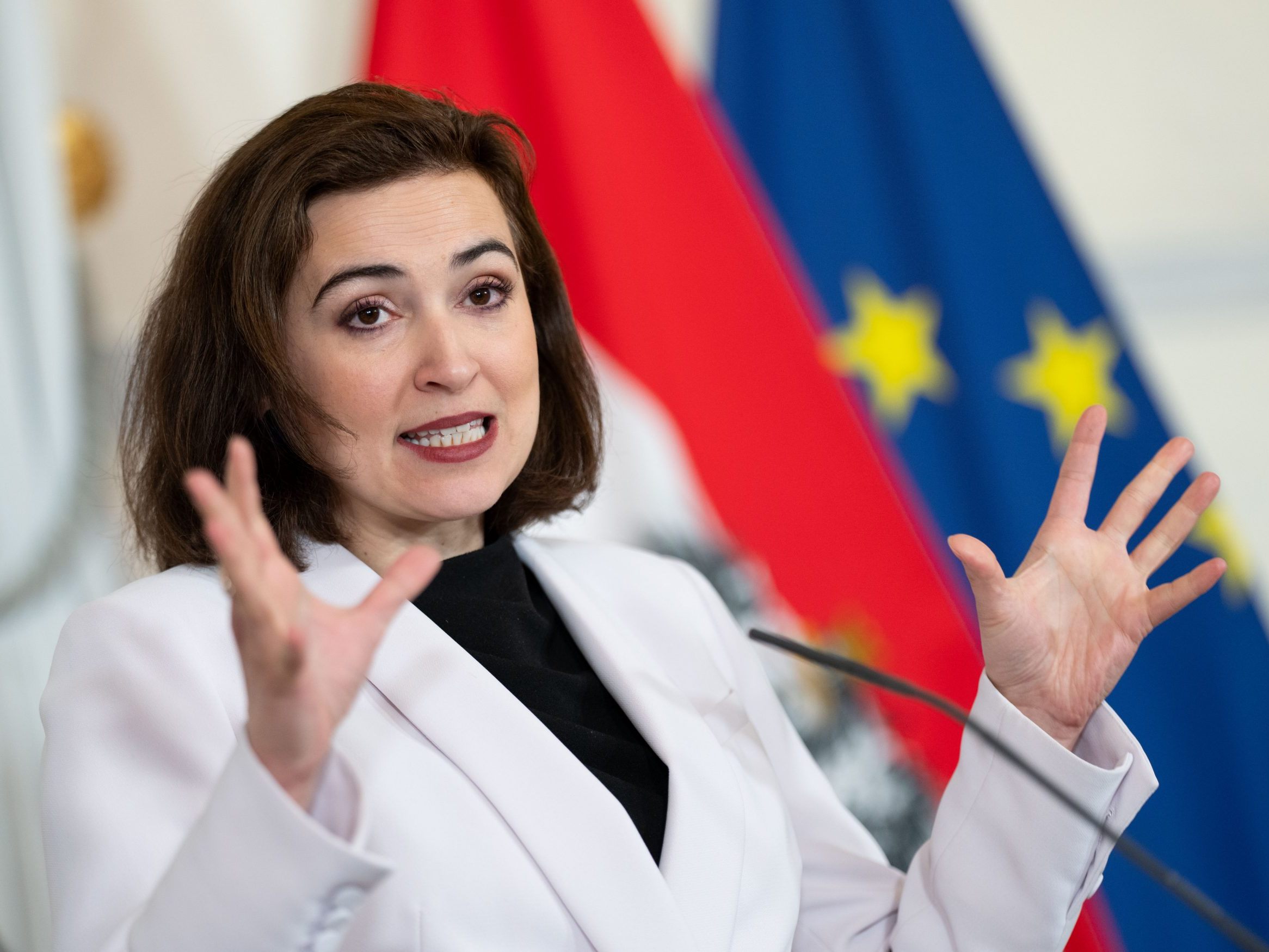 Zadić wird Spitzenkandidatin der Grünen in Wien. Zadić wird Spitzenkandidatin der Grünen in Wien.