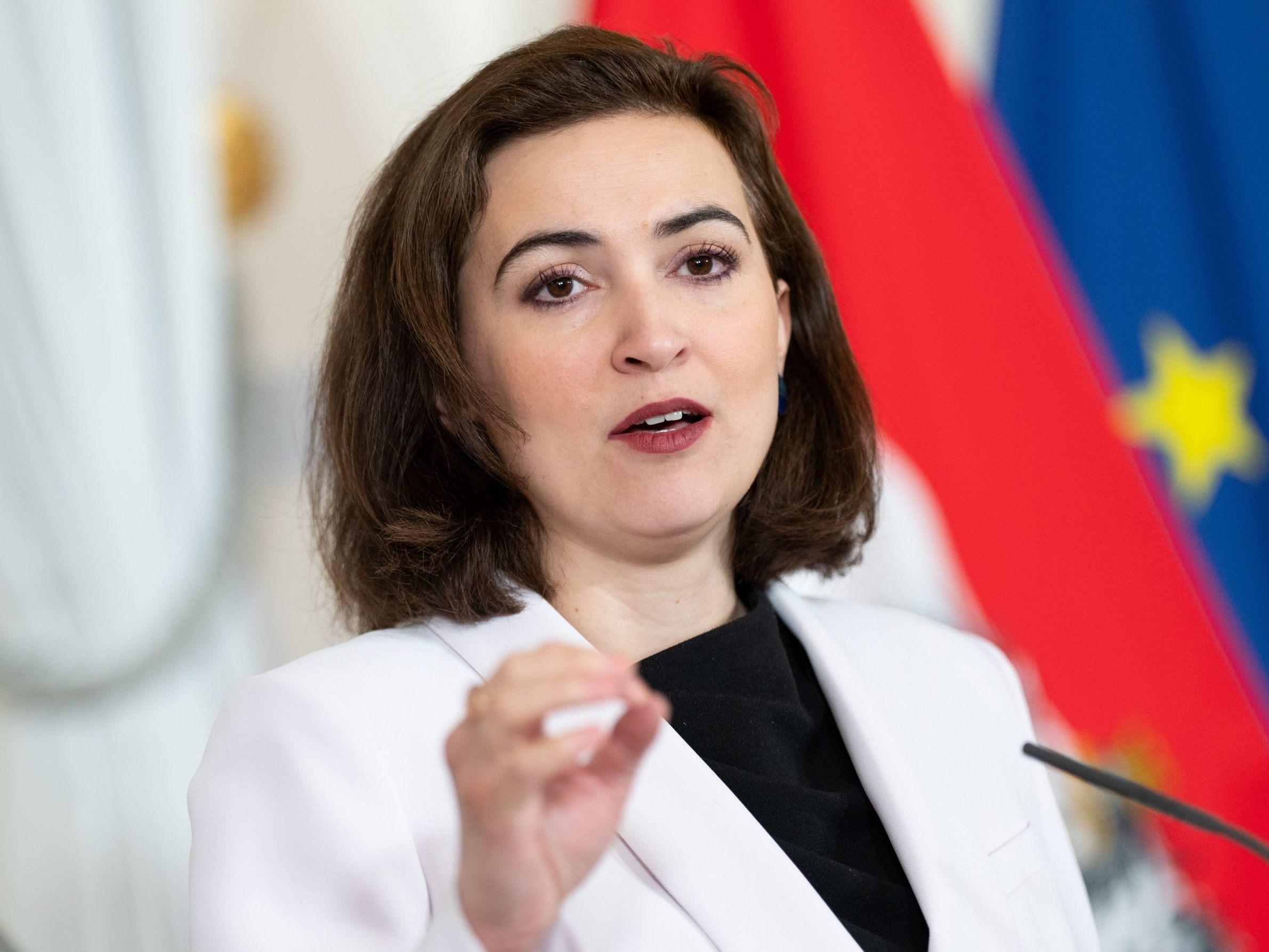 Alma Zadic kündigt eine Verschärfung des Spionage-Paragraphen an.