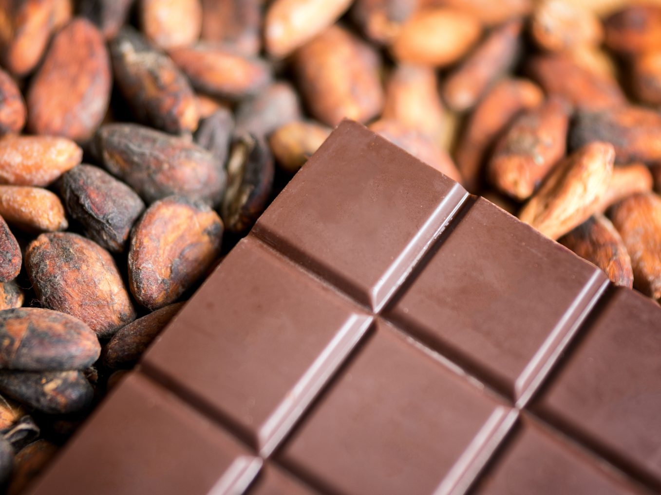 Die Missverständnisse konnten ausgeräumt werden.