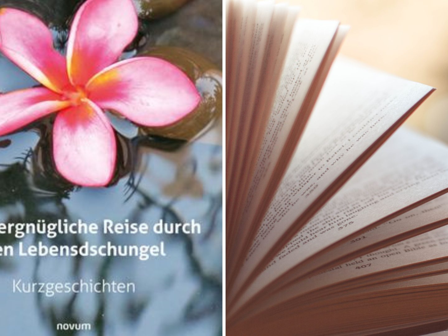 Gewinnt eines von fünf Büchern! Gewinnt eines von fünf Büchern!