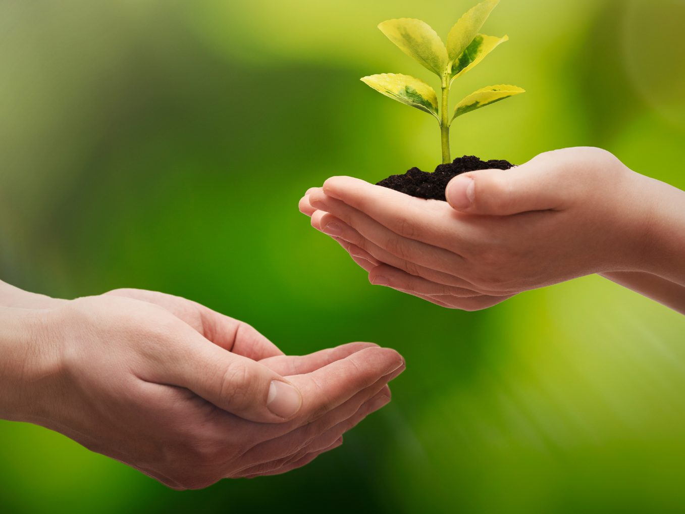 Die Preise für klimafreundliche Gesundheitseinrichtungen sind ausgeschrieben.