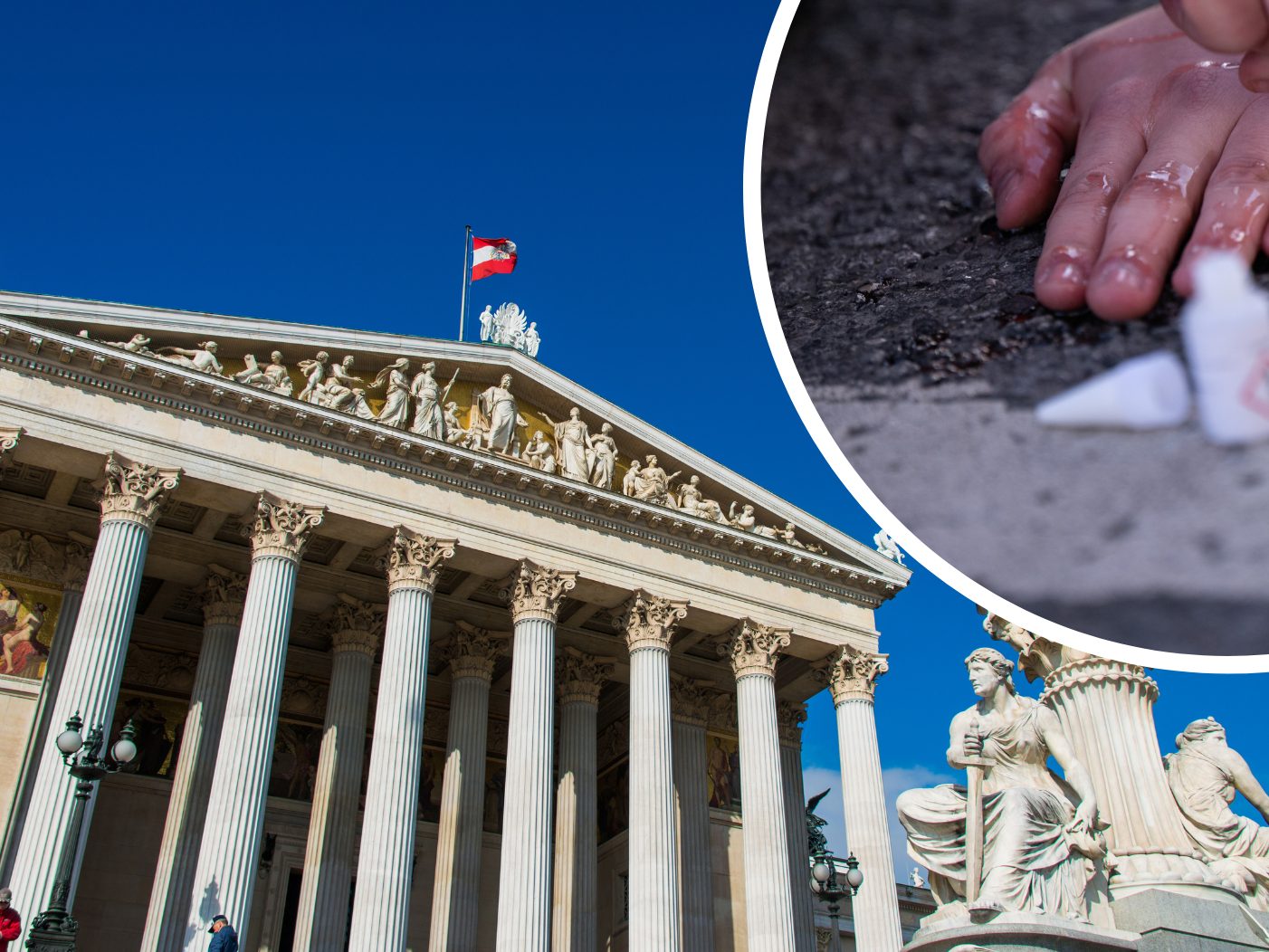 Eine erneute Protestwelle ist in Wien geplant. Eine erneute Protestwelle ist in Wien geplant.