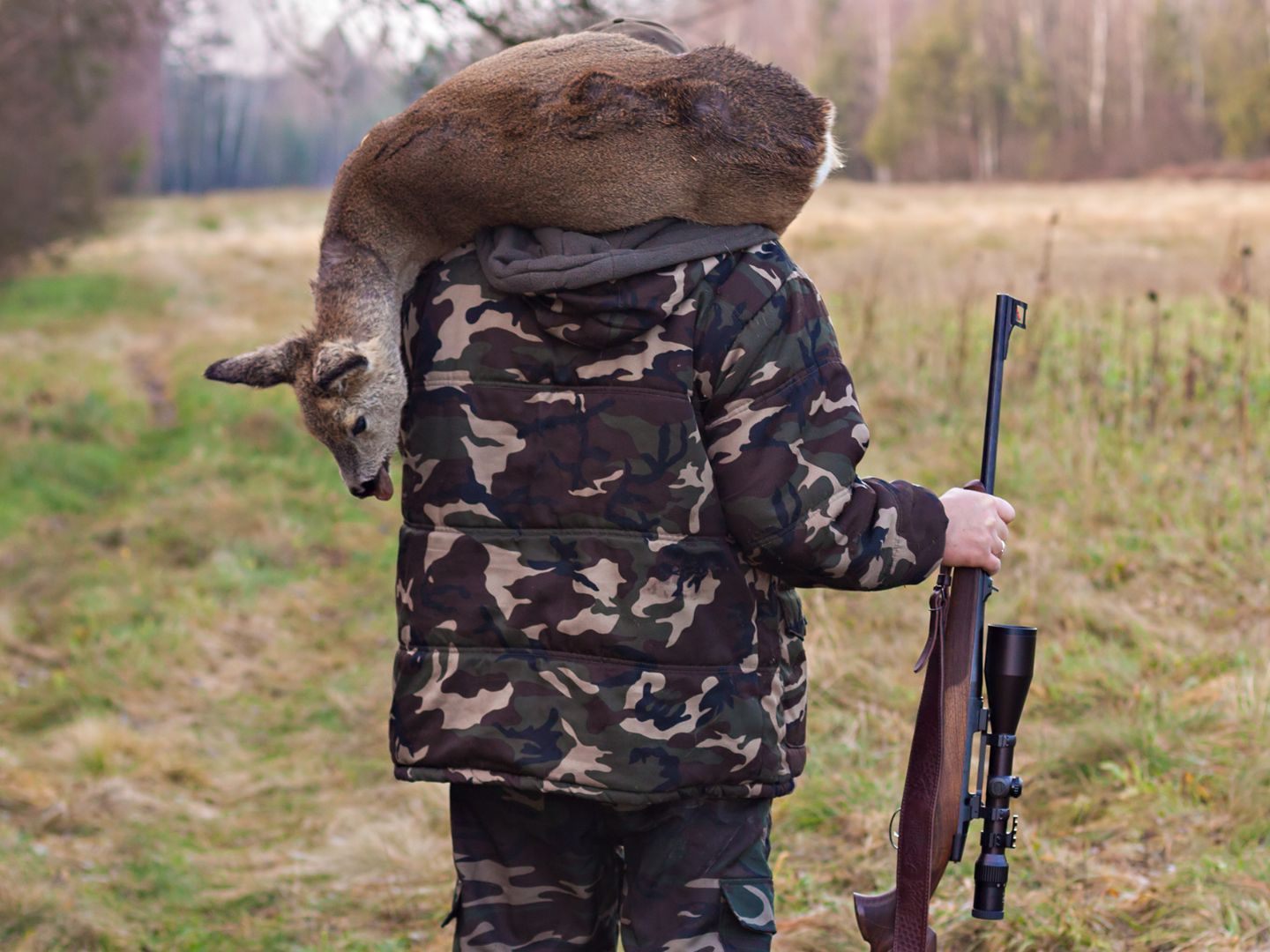 Das Projekt soll die illegalen Tötungen von Wildtieren in Deutschland und Österreich reduzieren.