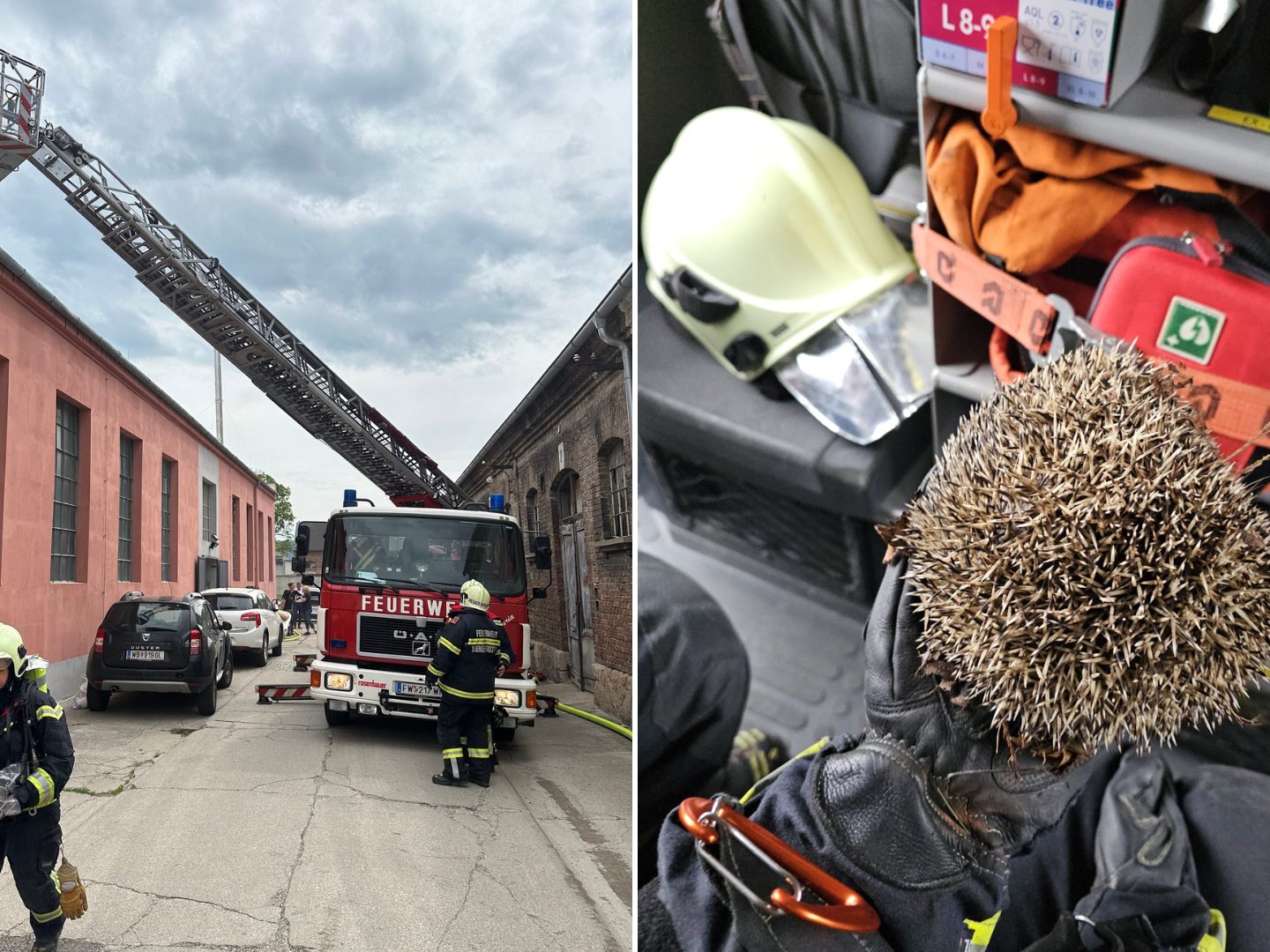 Zahlreiche Einsätze forderten die FF Wiener Neustadt. Zahlreiche Einsätze forderten die FF Wiener Neustadt.