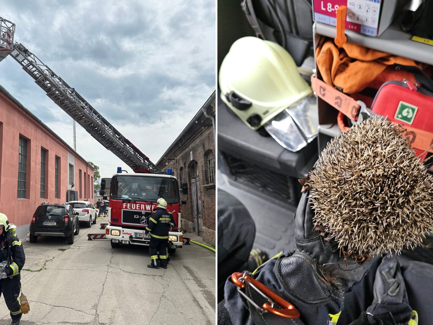 Zahlreiche Einsätze forderten die FF Wiener Neustadt.