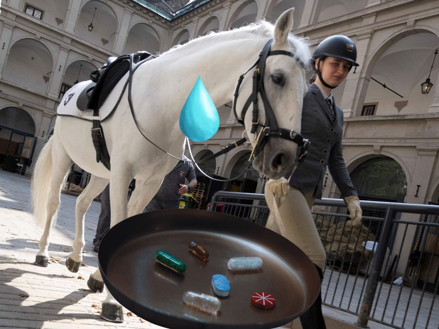 WienTourismus vermarktet Wien-Pillen, die u.a. Lipizzaner-Schweiß enthalten.