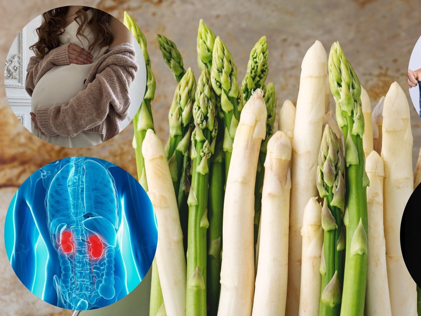 Der Spargel hat alle möglichen gesundheitlichen Vorteile.
