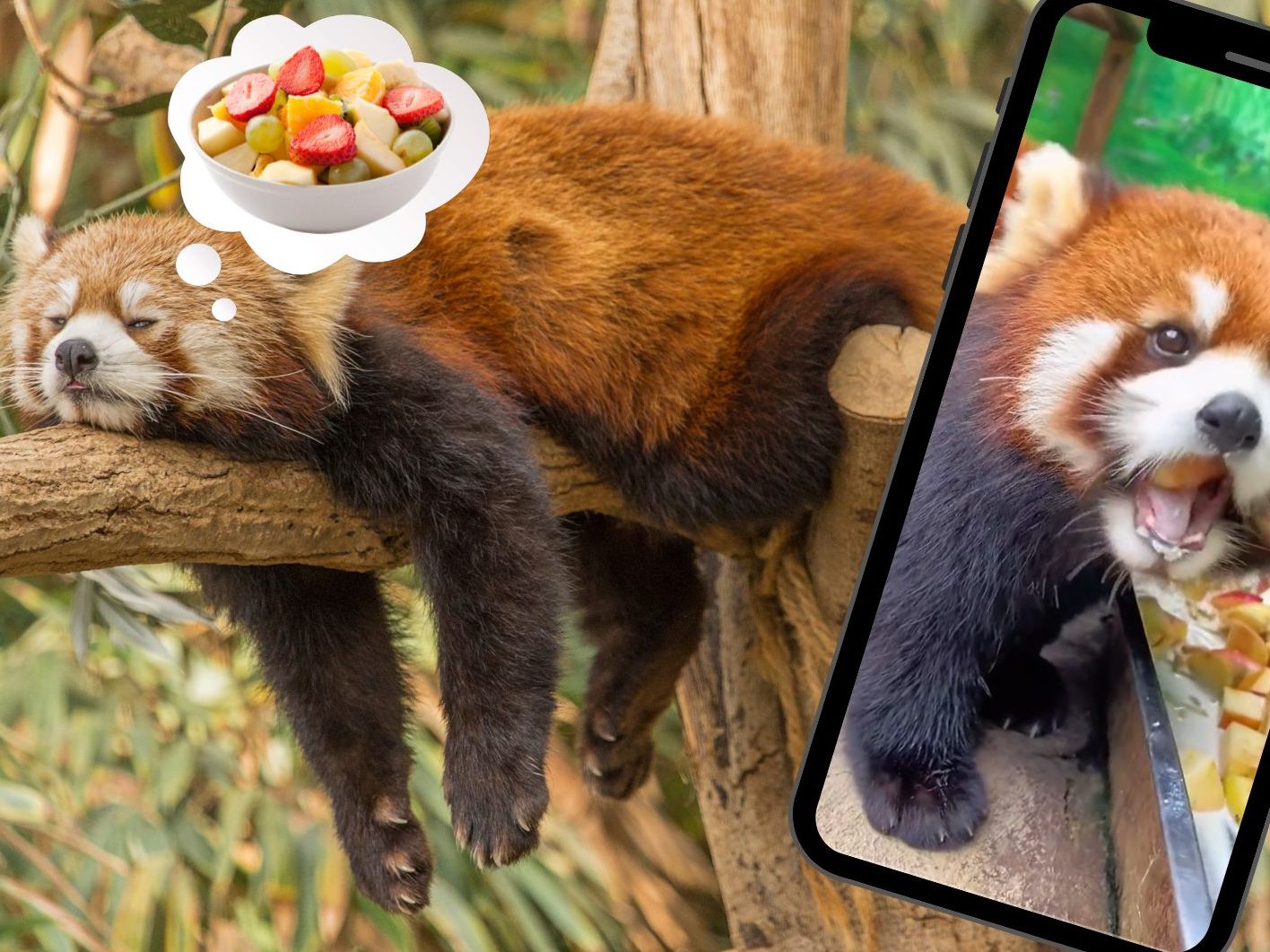 Darf's ein Snack zwischendurch sein?