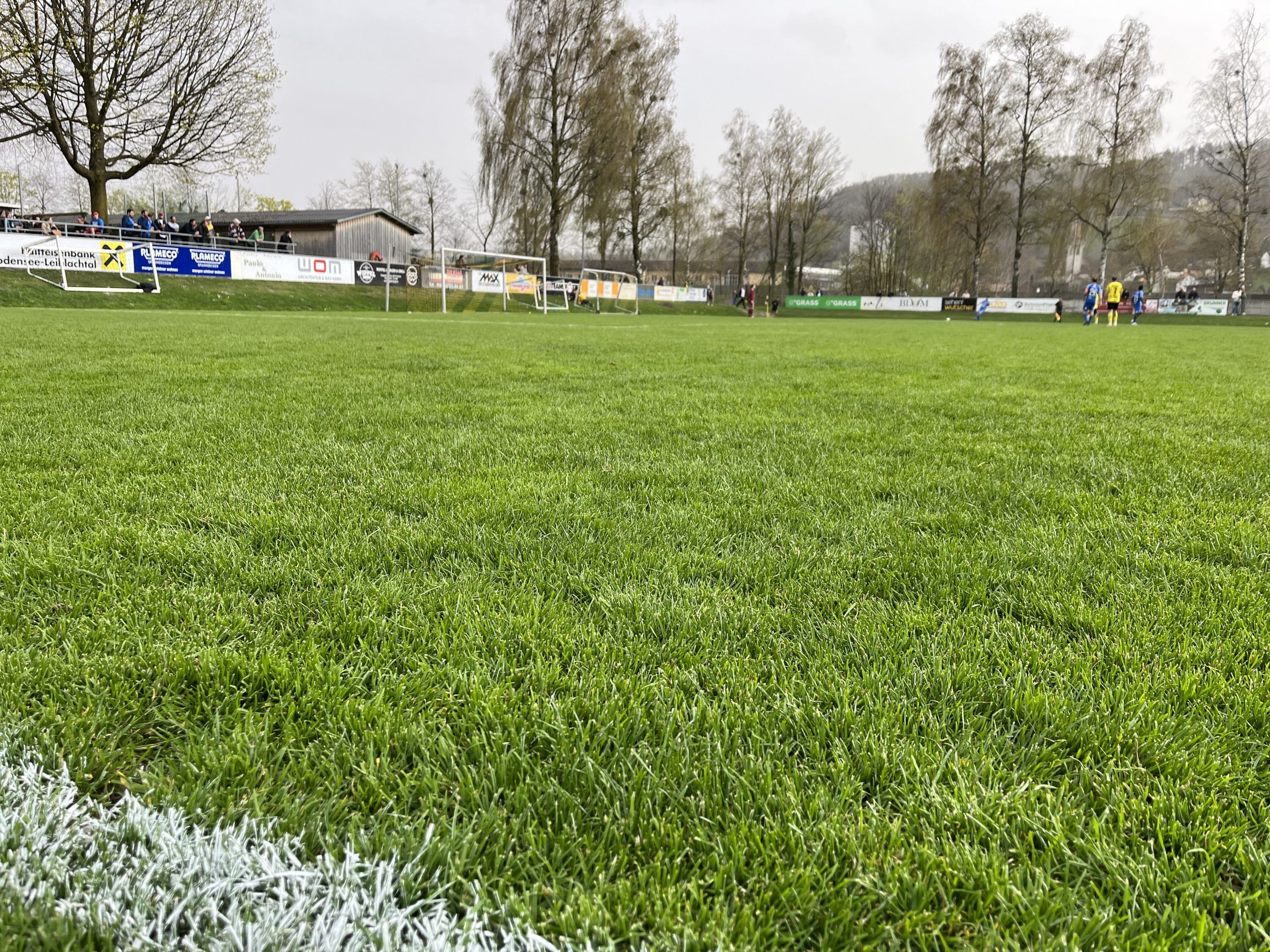 Im Rheinaustadion möchten die Höchster am Samstag die ersten Punkte in diesem Jahr holen. Im Rheinaustadion möchten die Höchster am Samstag die ersten Punkte in diesem Jahr holen.
