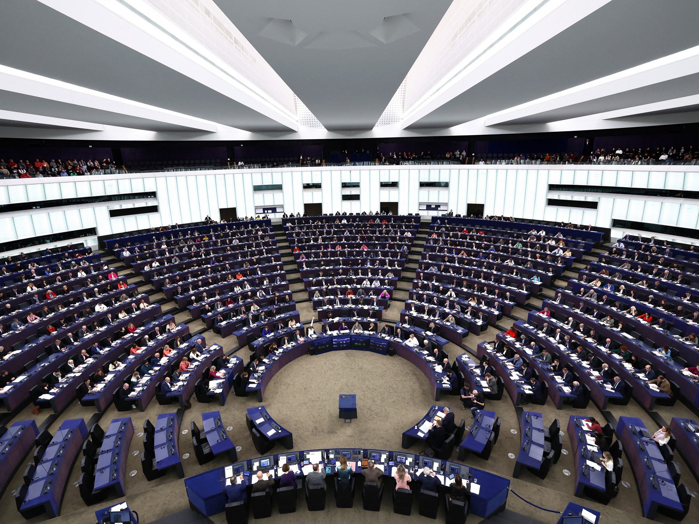 Wer sind unsere Europaabgeordneten?