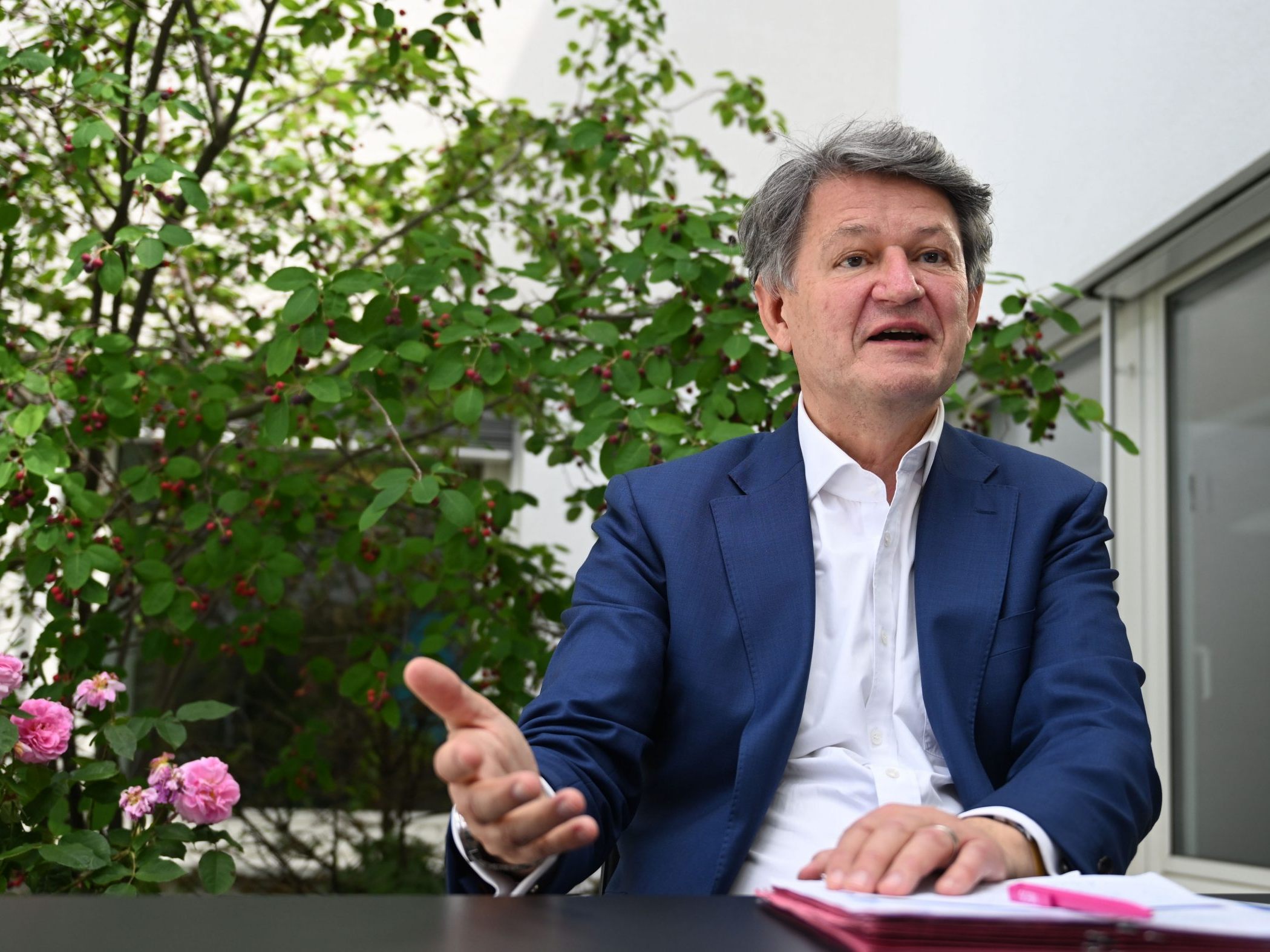 EU-Spitzenkandidat Brandstätter im APA-Interview.