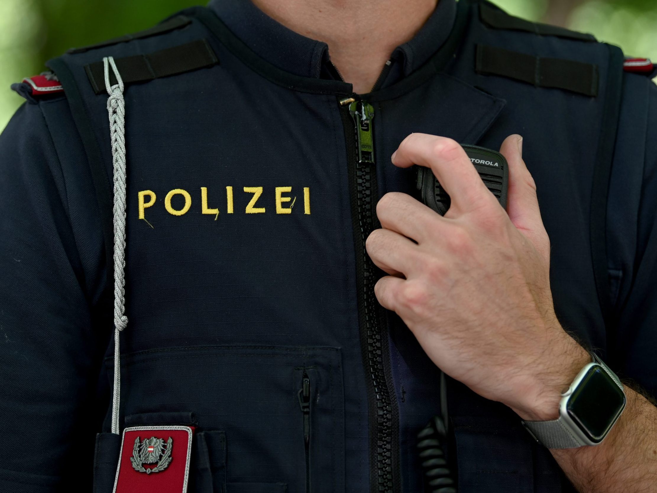 Die Wiener Polizei sucht nach den Schüssen ein Trio. Die Wiener Polizei sucht nach den Schüssen ein Trio.