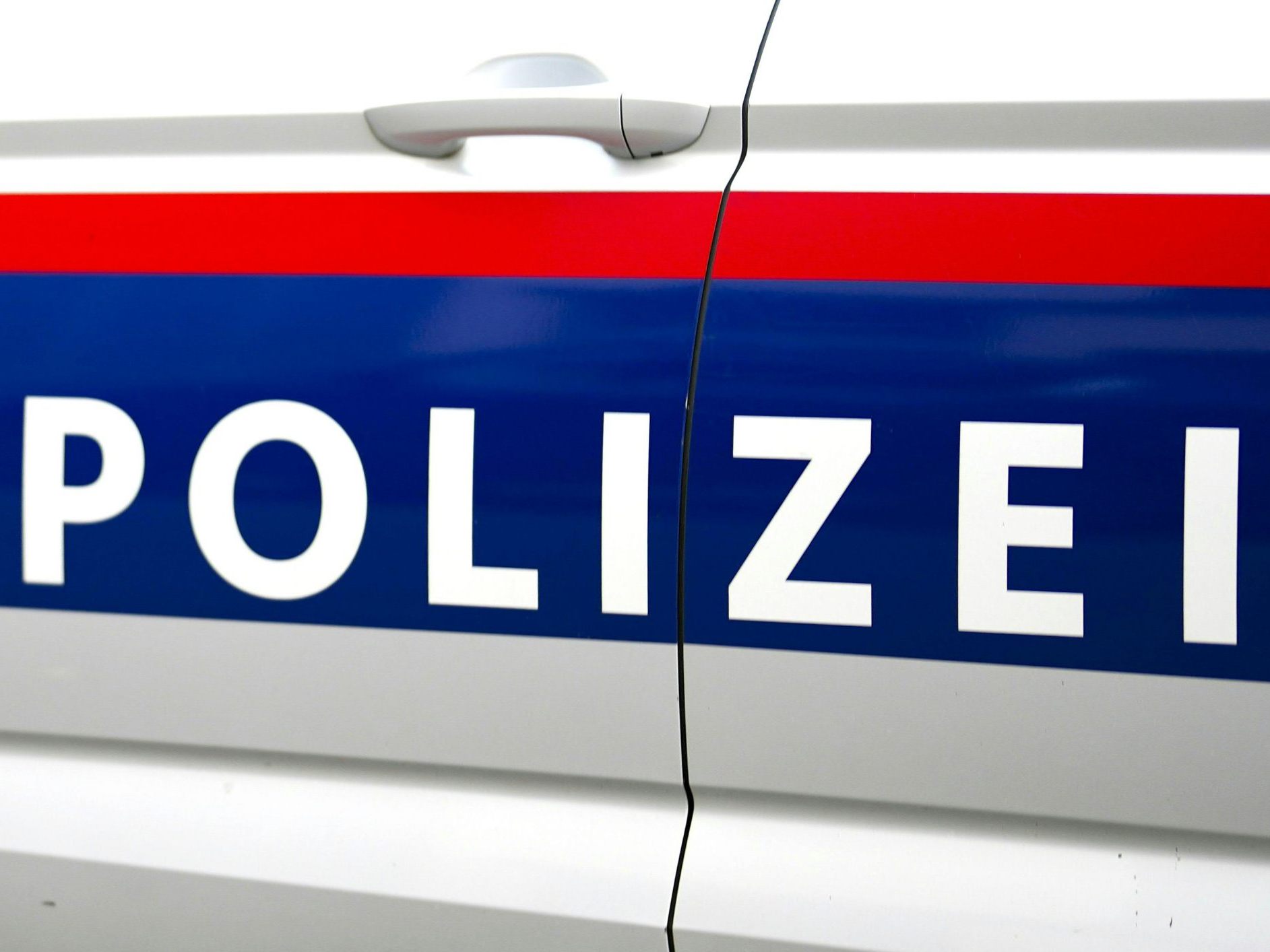 In Niederösterreich wurden zwei Polizisten verletzt.