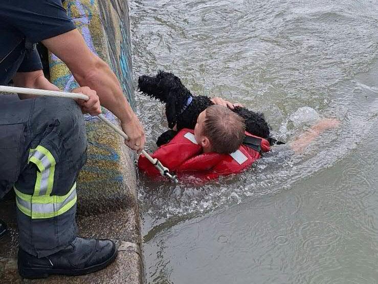 Tierischer Einsatz für die Feuerwehr beim Donaukanal.