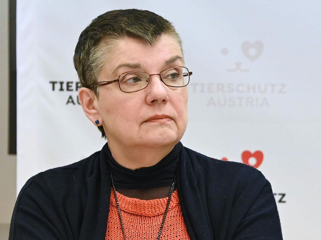 Die Ex-Grünen-Chefin Petrovic will bei der NR-Wahl antreten. Die Ex-Grünen-Chefin Petrovic will bei der NR-Wahl antreten.
