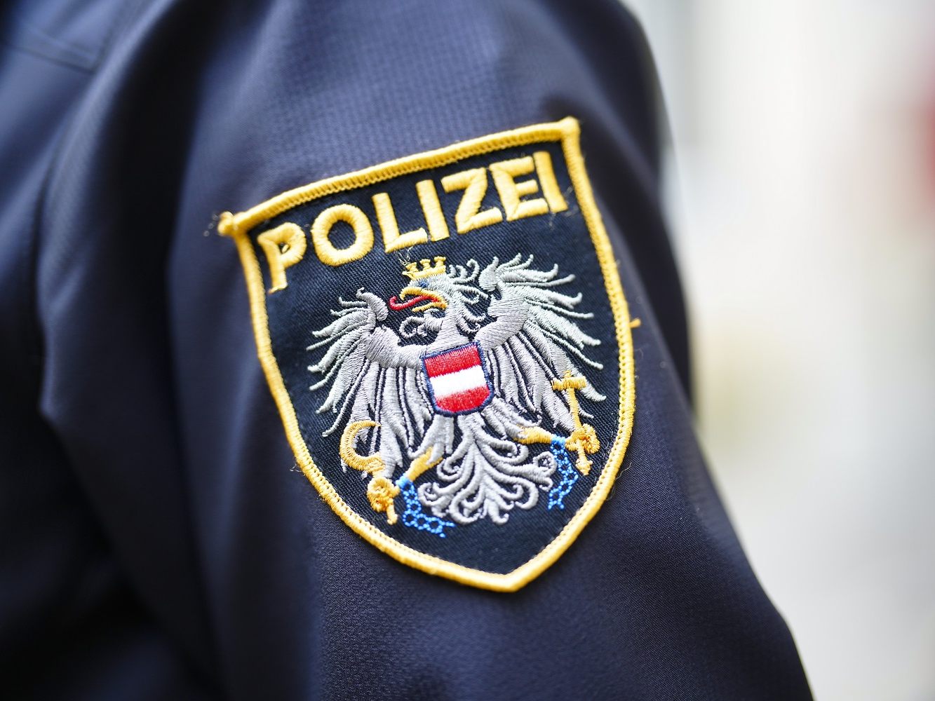 Ein 26-Jähriger dürfte trotz roter Ampel über eine Kreuzung gefahren sein, berichtete die Polizei nach dem Unfall in NÖ.