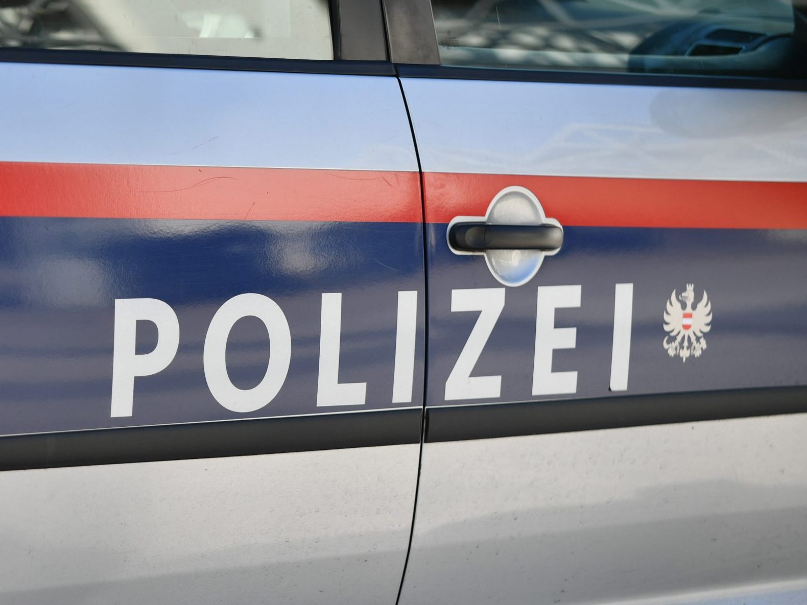 Die Polizei nahm einen Verdächtigen nach einem Einbruchsdiebstahl in ein Fahrzeug fest.