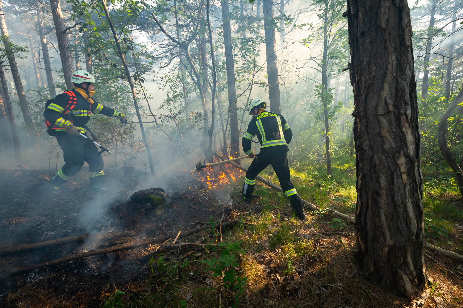 © APA/PRESSESTELLE BFK MÖDLING/SEYFERT