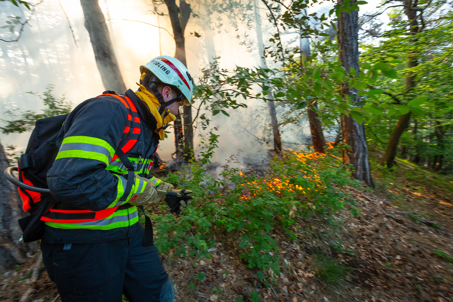 © APA/PRESSESTELLE BFK MÖDLING/SEYFERT