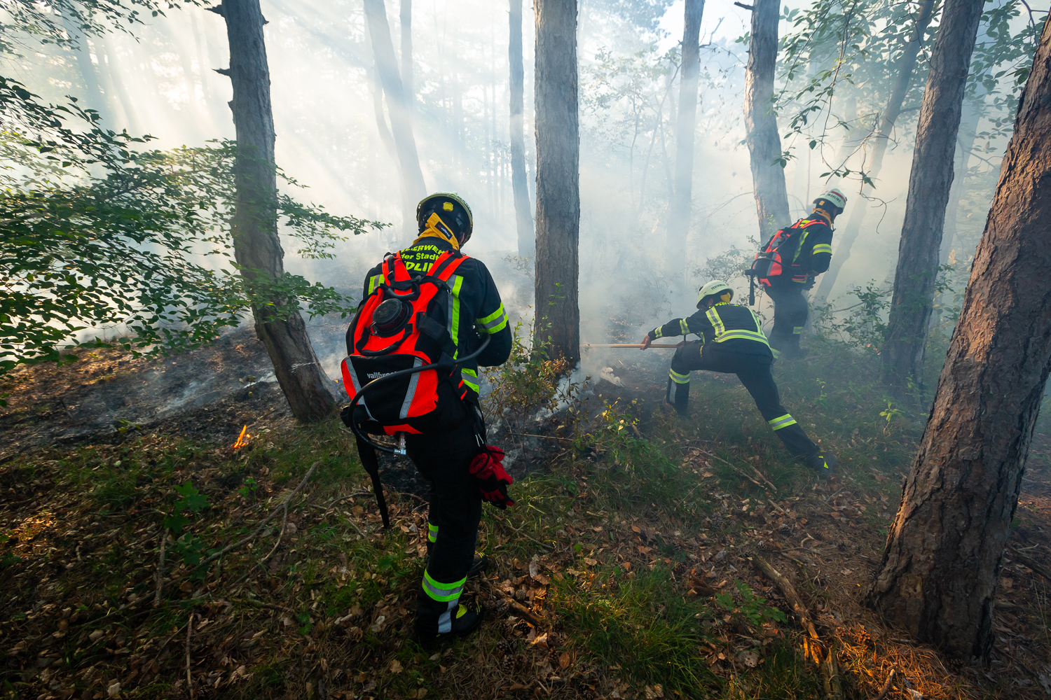 © APA/PRESSESTELLE BFK MÖDLING/SEYFERT