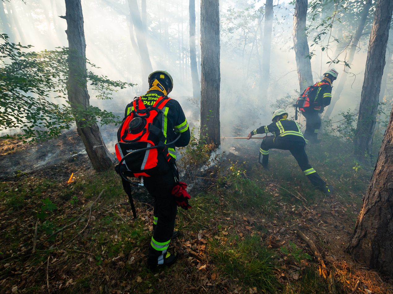 Im Bezirk Mödling ist ein Waldbrand ausgebrochen.