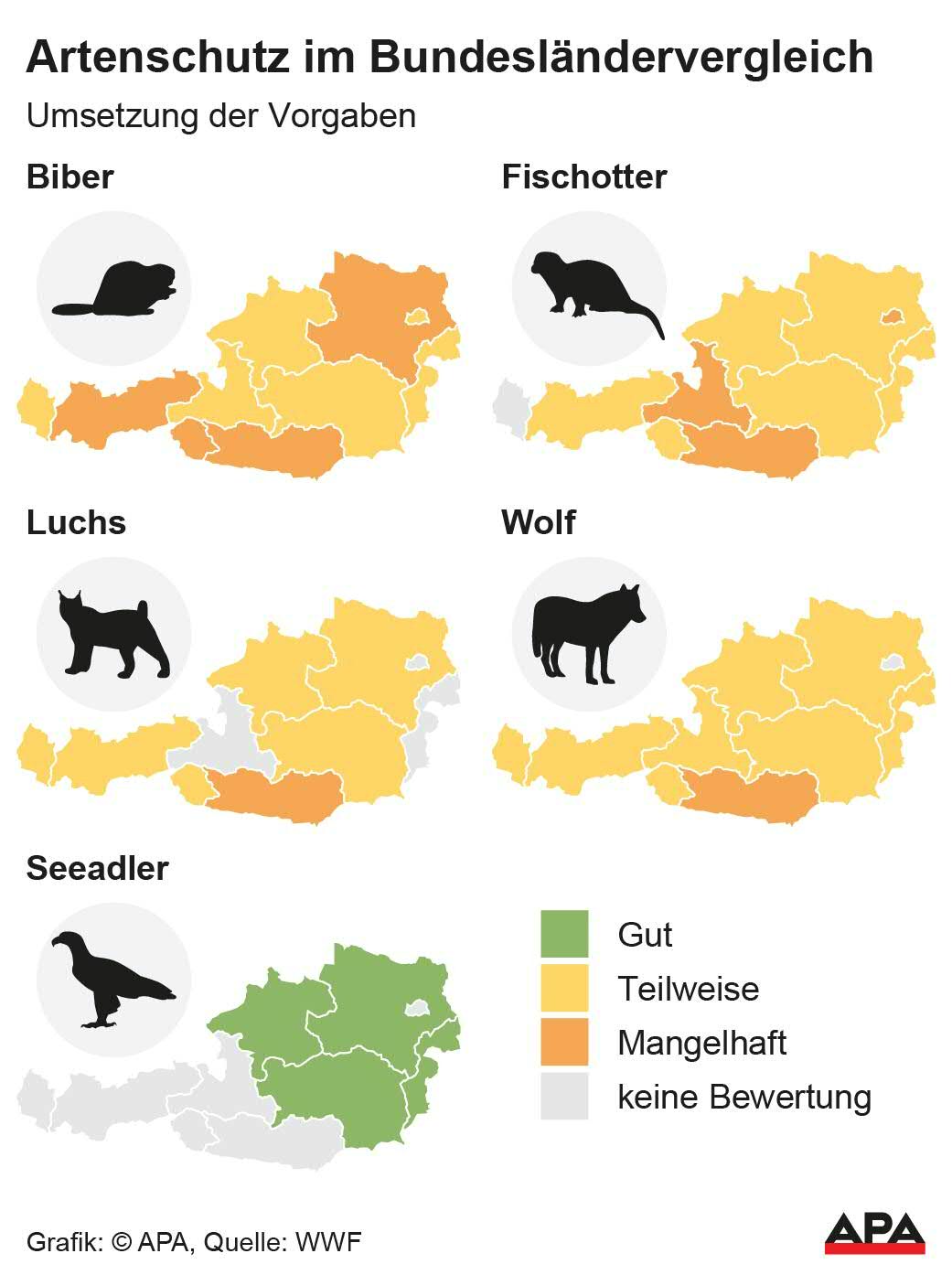 Umsetzung der Vorgaben bei Biber, Fischotter, Luchs, Wolf, Seeadler, Quelle: WWF; Die Auslieferung der APA-Grafiken als Embed-Code ist ausschlie§lich Kunden mit einer gltigen Vereinbarung fr Grafik-Pauschalierung vorbehalten. Dabei inkludiert sind automatisierte Schrift- und Farbanpassungen an die jeweilige CI. Fr weitere Informationen wenden Sie sich bitte an unser Grafik-Team unter grafik@apa.at. GRAFIK 0700-24, 88 x 118 […]