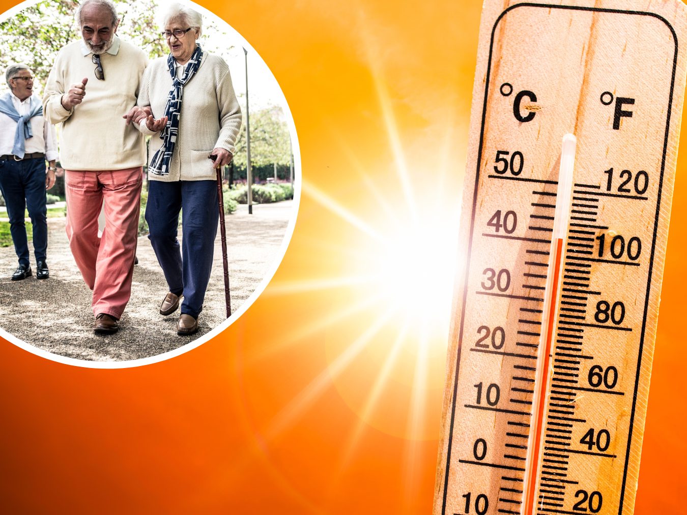 Schuld daran sind die steigenden Temperaturen durch die globale Erwärmung und eine zunehmend älter werdende Erdbevölkerung.