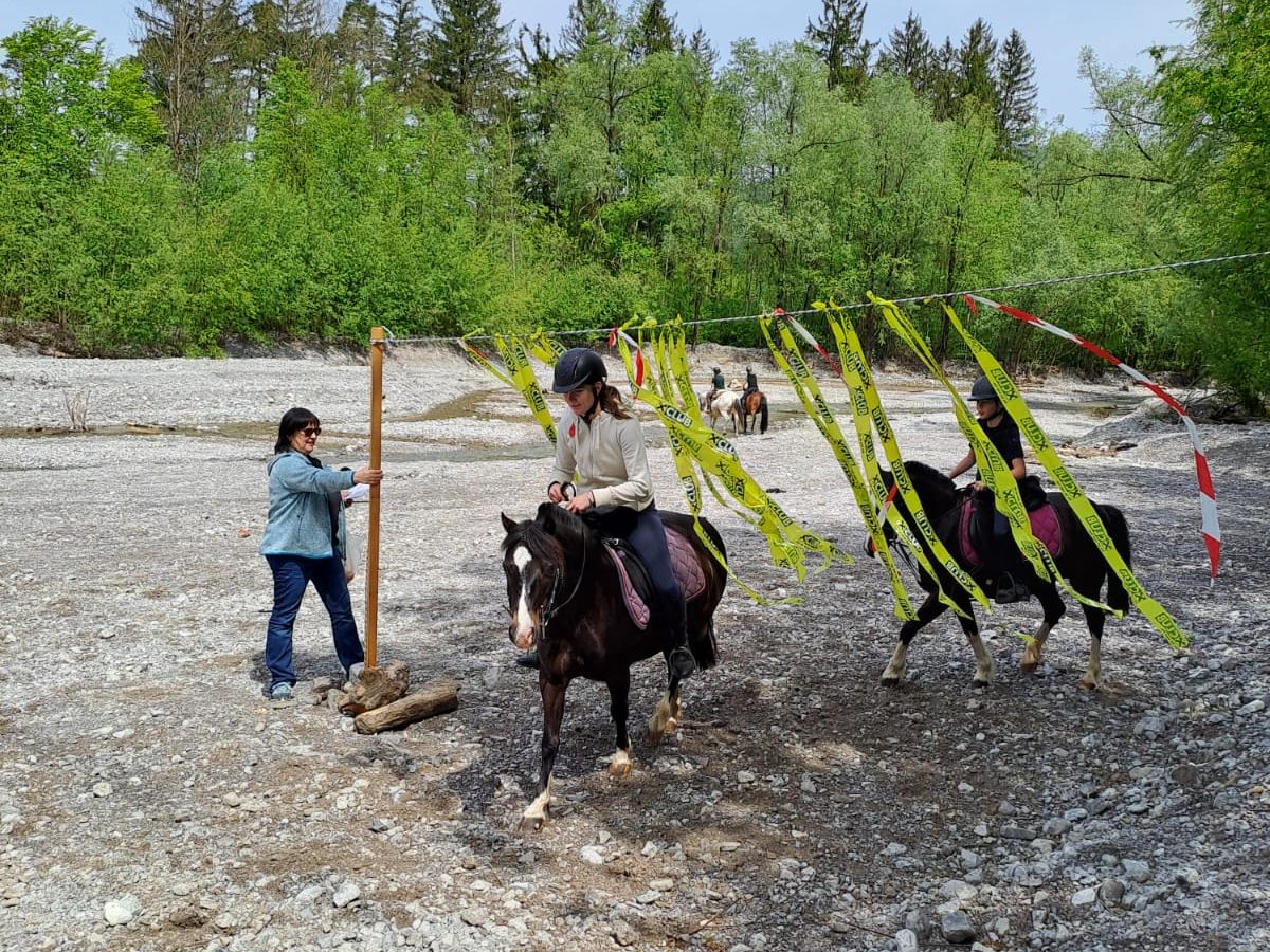 Auch durch ungewohnte Hindernisse war bei der Schnitzeljagd zu reiten! Auch durch ungewohnte Hindernisse war bei der Schnitzeljagd zu reiten!
