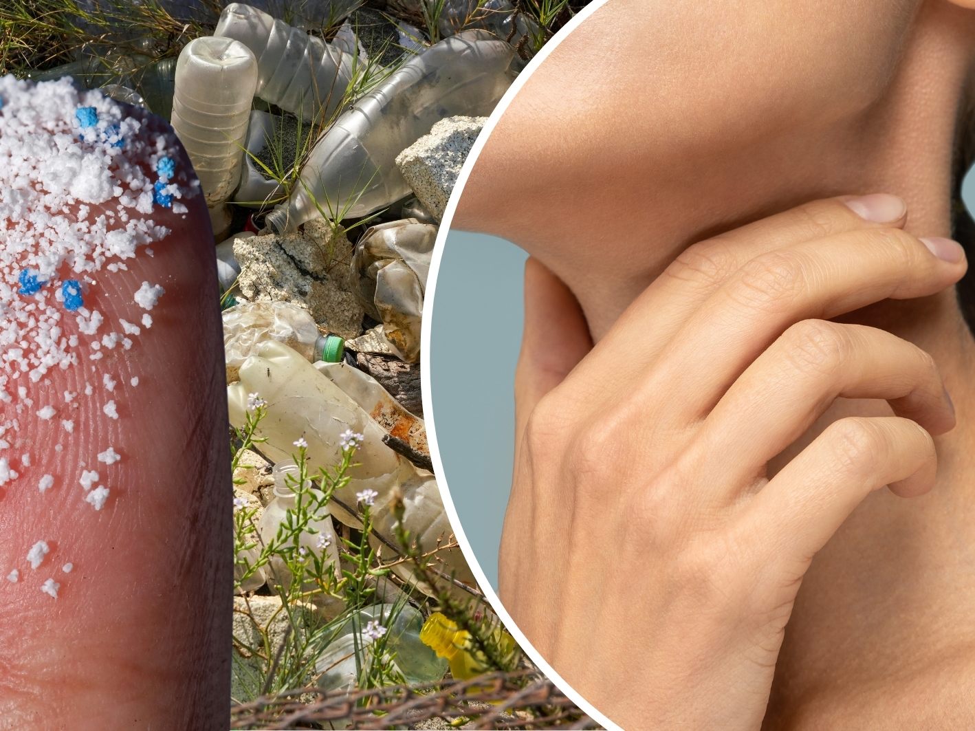 Immer mehr Hinweise auf schädigende Effekte von Mikroplastik in Blutgefäßen. Immer mehr Hinweise auf schädigende Effekte von Mikroplastik in Blutgefäßen.