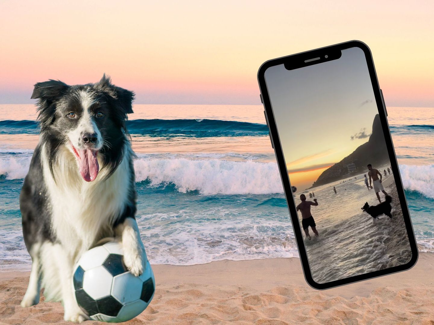 Tierischer Spielkammerad am Strand von Rio