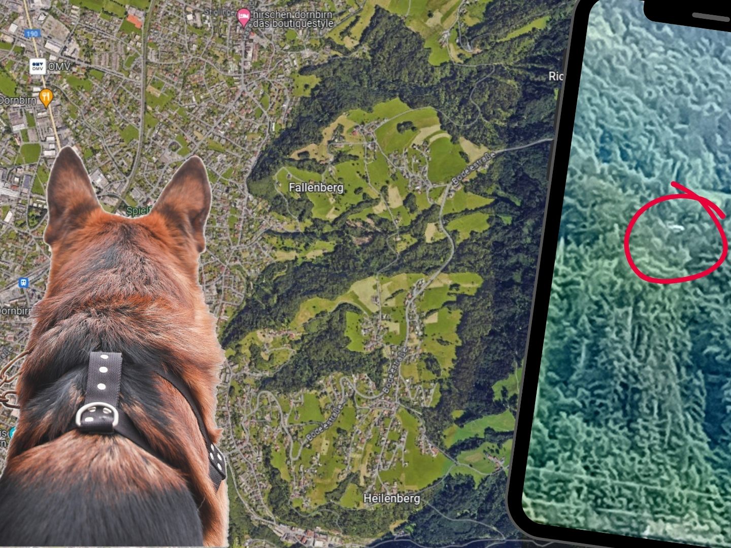 Ein VOL.AT-User hat ein Bild vom Sucheinsatz des Polizeihubschraubers am Fallenberg (Bild rechts) in Dornbirn zur Verfügung gestellt.