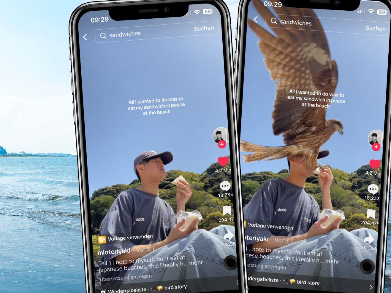 Ein frecher Vogel schnappt sich blitzschnell sein Essen und fliegt davon. Ein frecher Vogel schnappt sich blitzschnell sein Essen und fliegt davon.