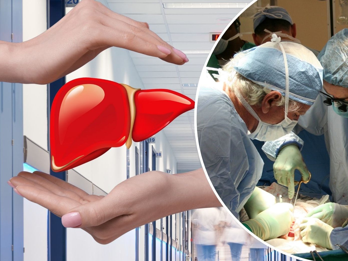Organtransplantationen sind lebensrettende Eingriffe, die vielen Patienten eine zweite Chance geben. Doch können diese Eingriffe auch die Persönlichkeit der Empfänger verändern? Organtransplantationen sind lebensrettende Eingriffe, die vielen Patienten eine zweite Chance geben. Doch können diese Eingriffe auch die Persönlichkeit der Empfänger verändern?