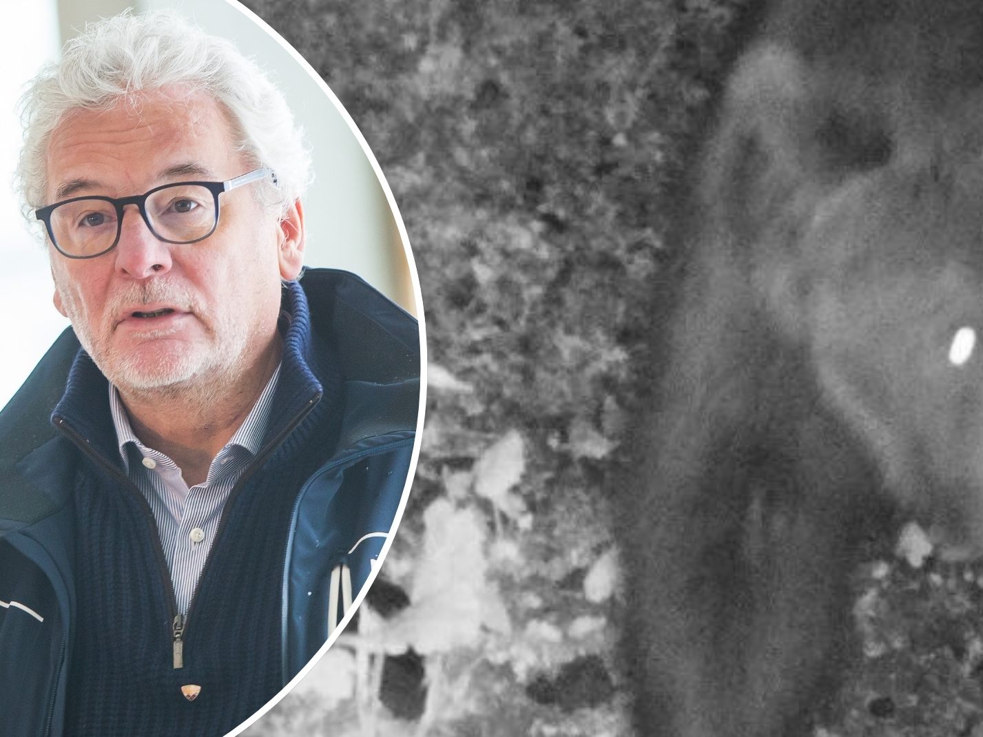 Bürgermeister Lucian zeigt sich angesichts der Bärensichtung gelassen.