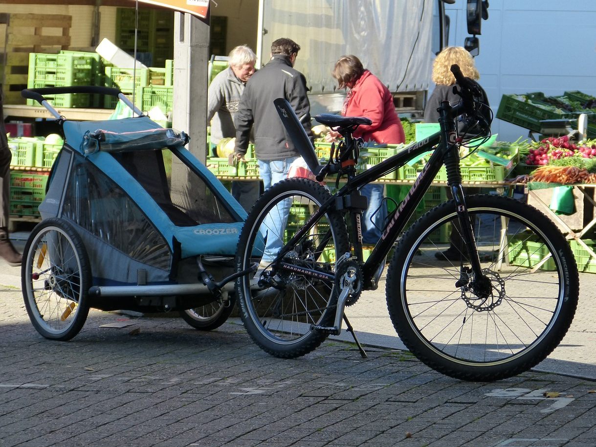 Vier von neun Fahrrad-Anhängern erhielten im AK-Test ein sehr gut.