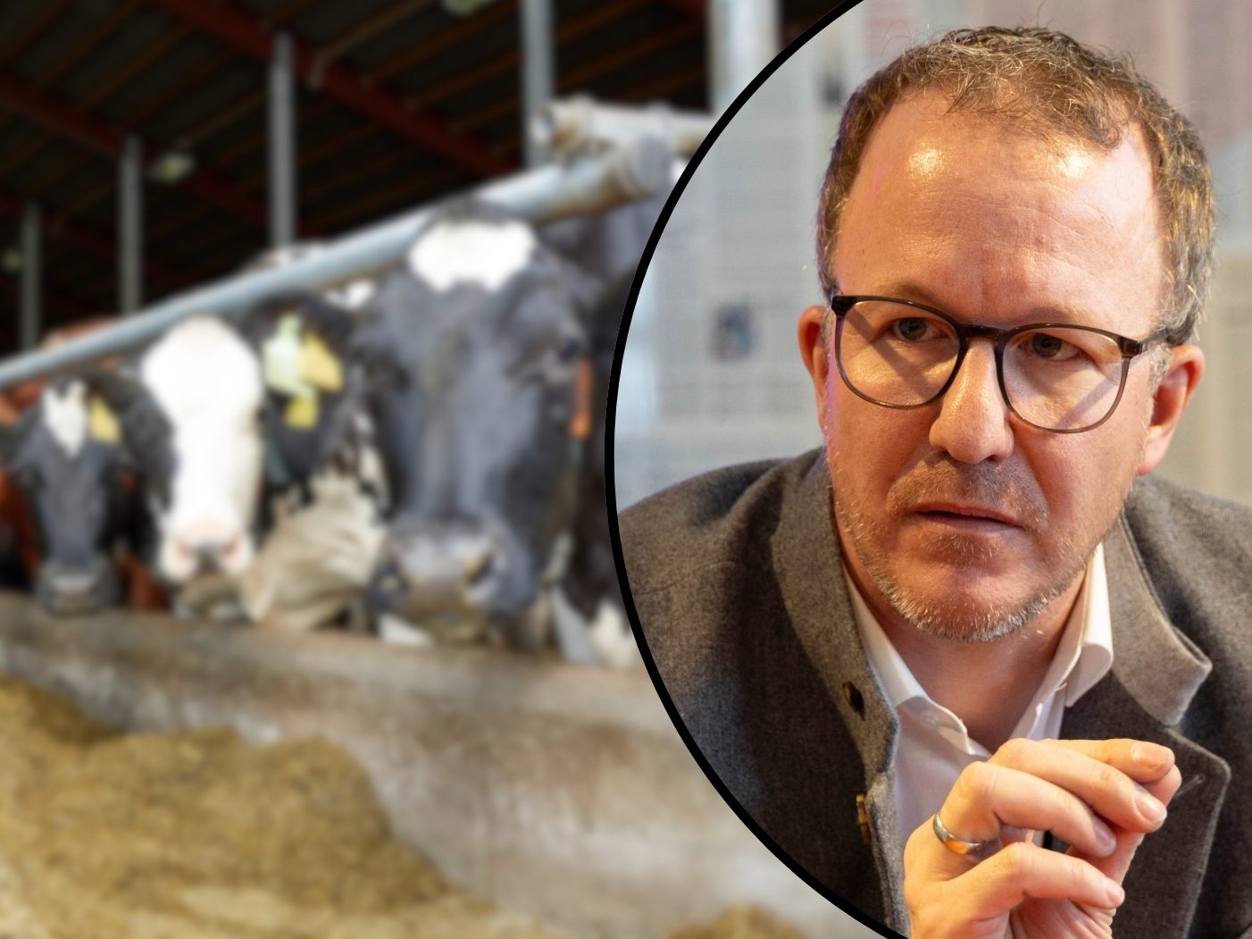 Die behördliche Ermittlungen wurden bereits eingeleitet. (Symbolbild) Die behördliche Ermittlungen wurden bereits eingeleitet. (Symbolbild)