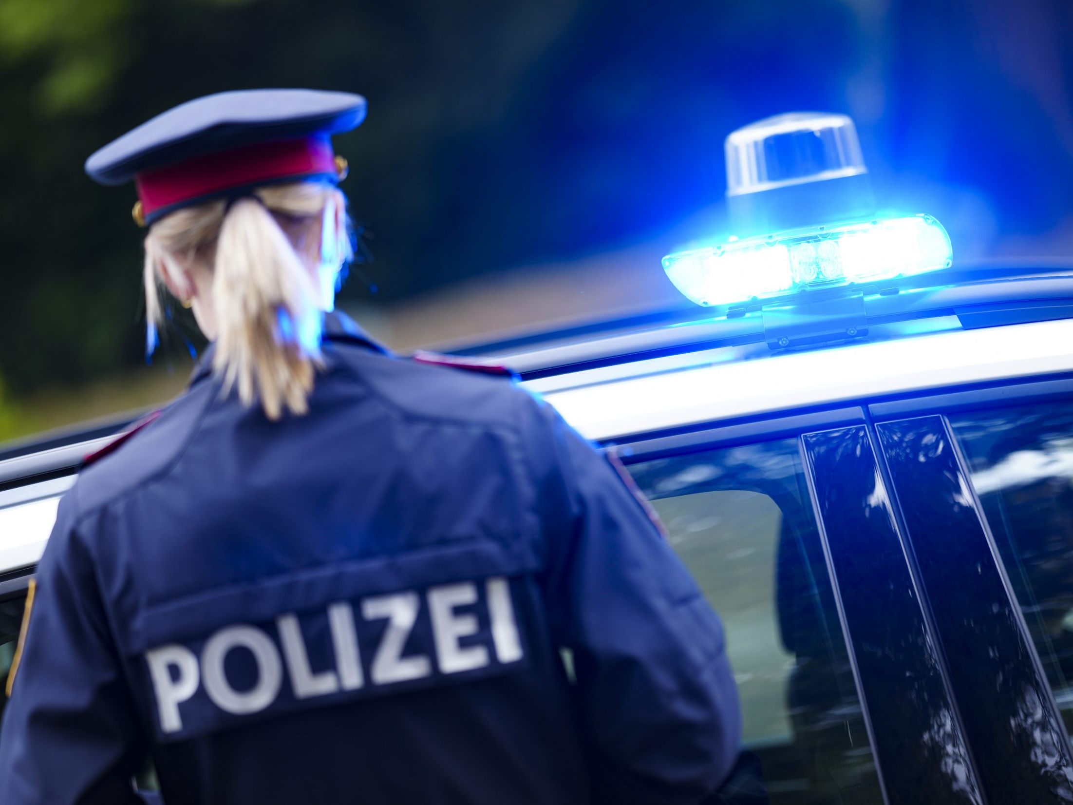 Der Mann wurde in eine Justizanstalt gebracht.