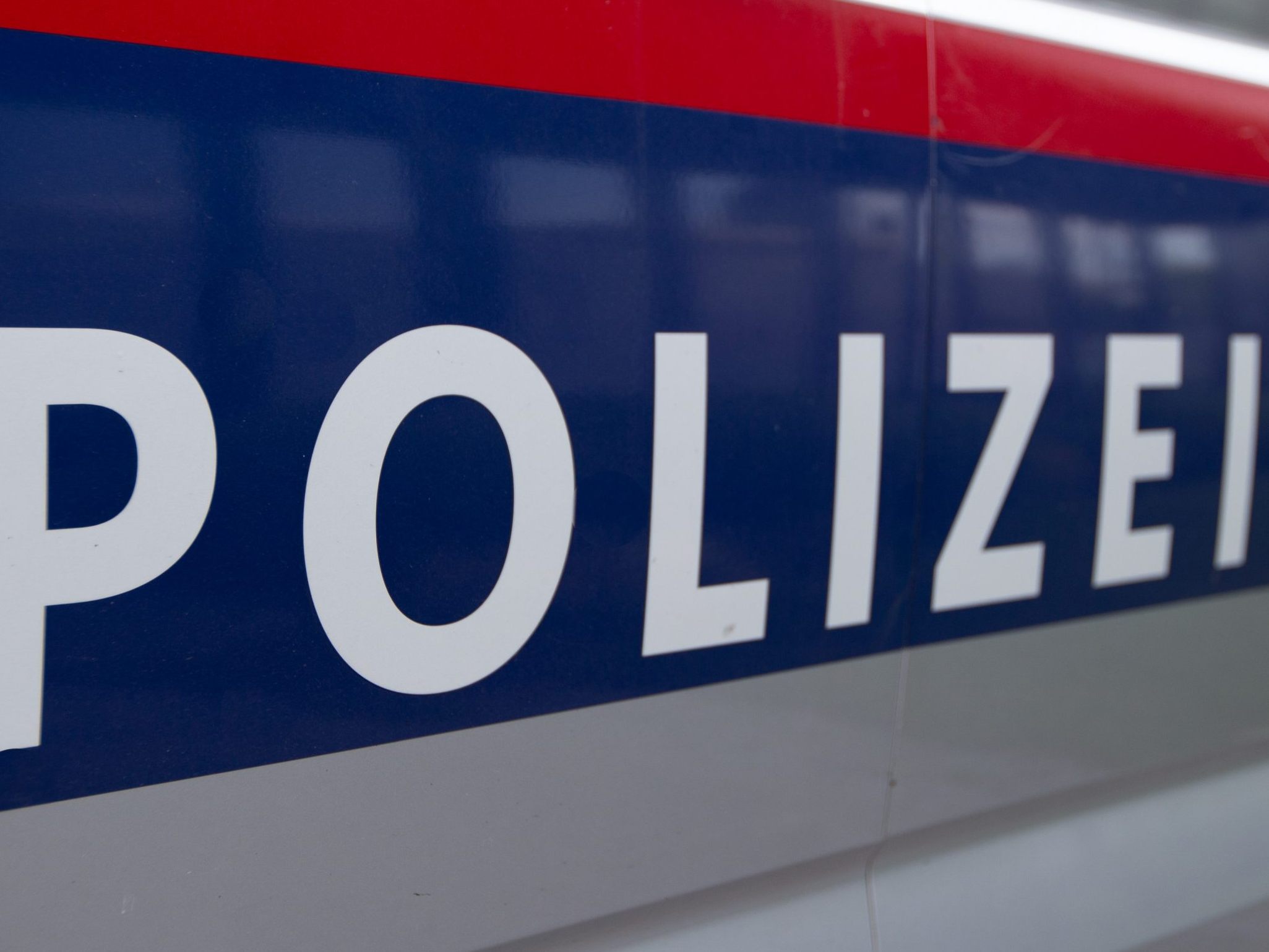 Die Wiener Polizei verhaftete eine Frau wegen gefährlicher Drohung.