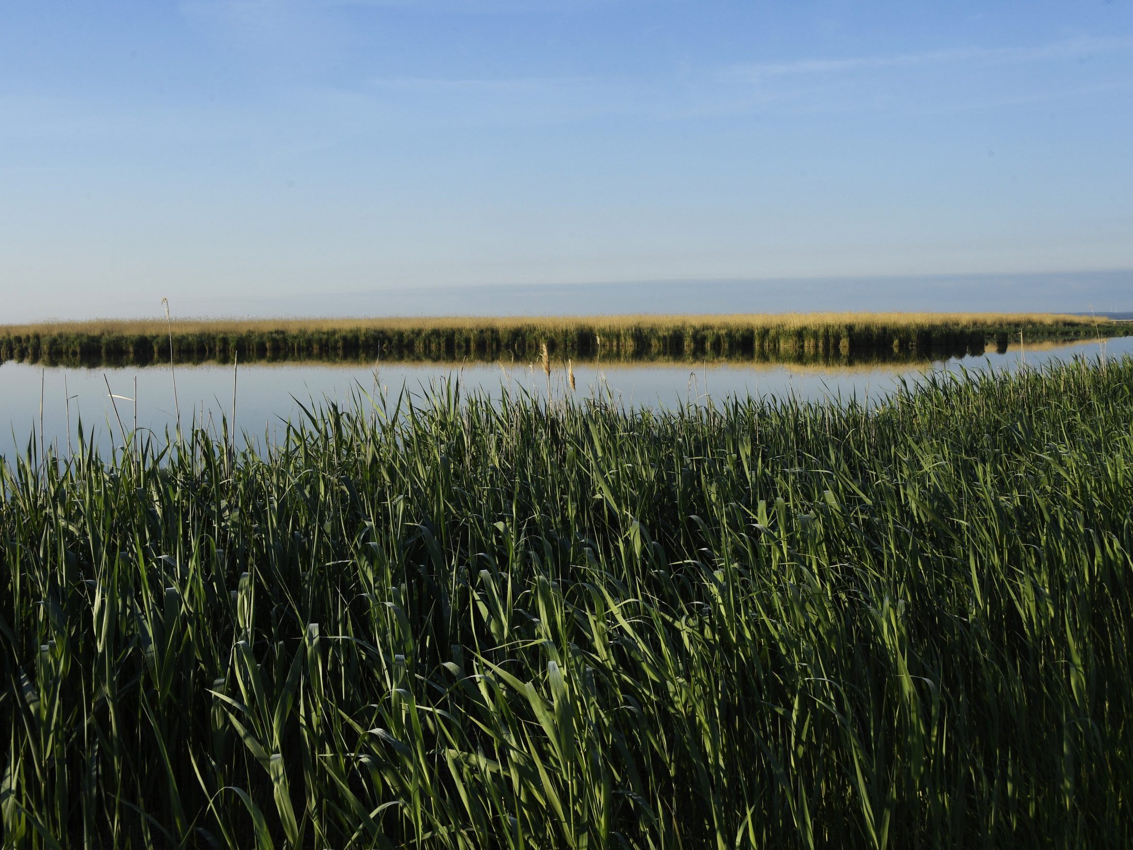 Die Wasserzuleitung zum Neusiedler See aus NÖ nimmt langsam Form an.