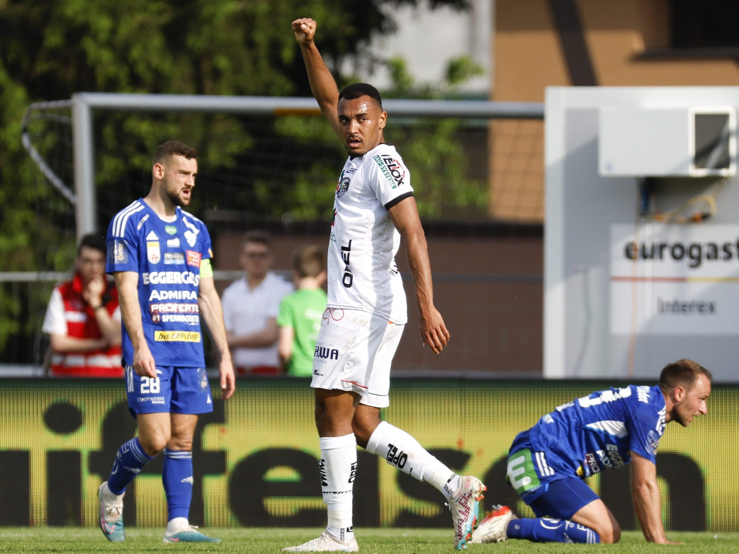 Der früherer WAC-Angreifer Malone soll nun für die Veilchen treffen. Der früherer WAC-Angreifer Malone soll nun für die Veilchen treffen.