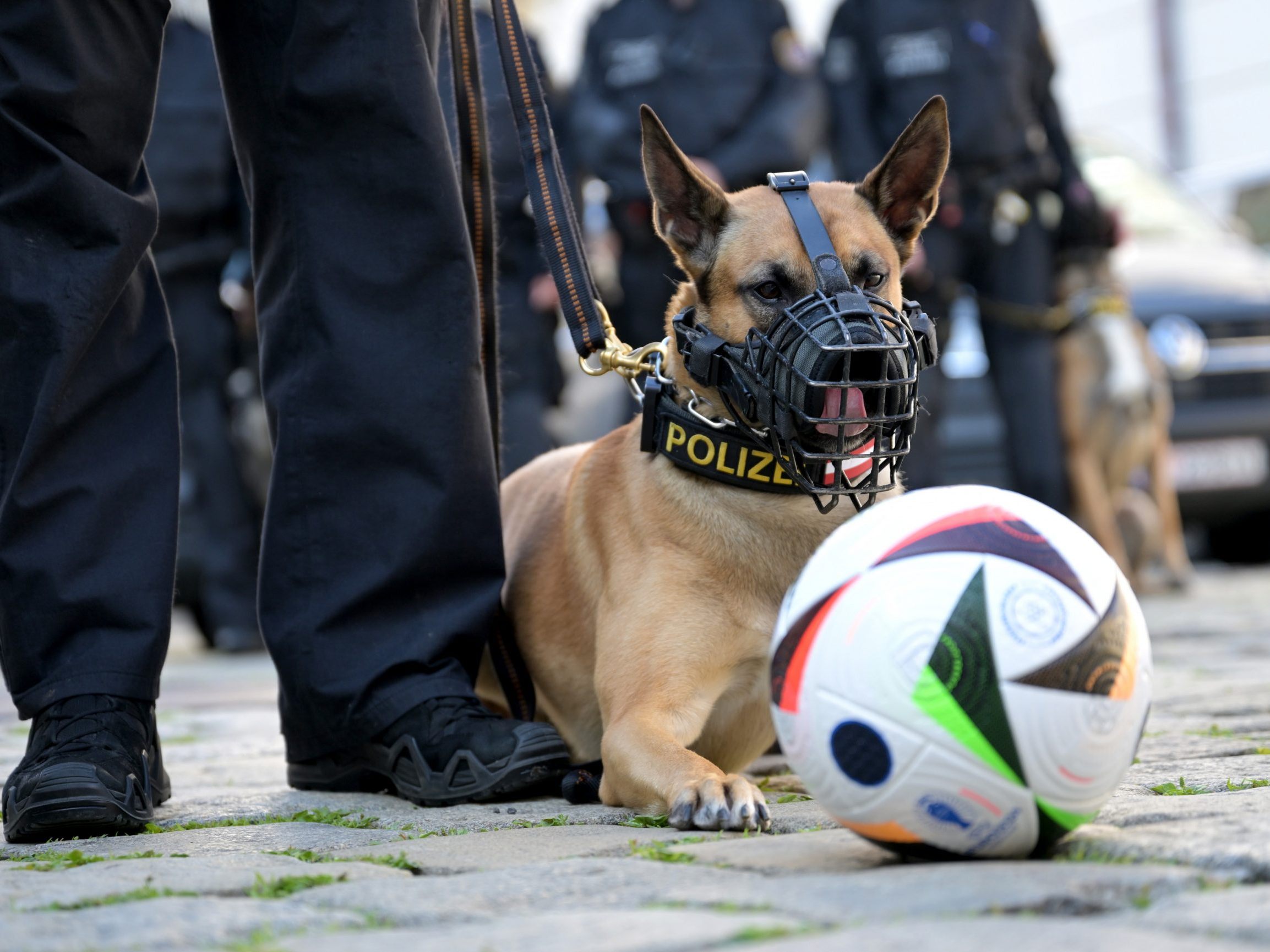 Während der Fußball-EM sorgt die Wiener Polizei für Sicherheit in den Fanzonen. Während der Fußball-EM sorgt die Wiener Polizei für Sicherheit in den Fanzonen.