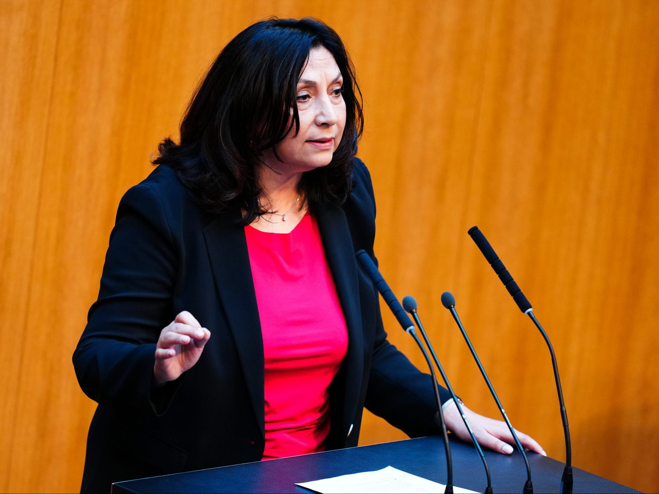 SPÖ-Justizsprecherin Selma Yildirim kritisiert die geplante Handy-Sicherstellung. SPÖ-Justizsprecherin Selma Yildirim kritisiert die geplante Handy-Sicherstellung.