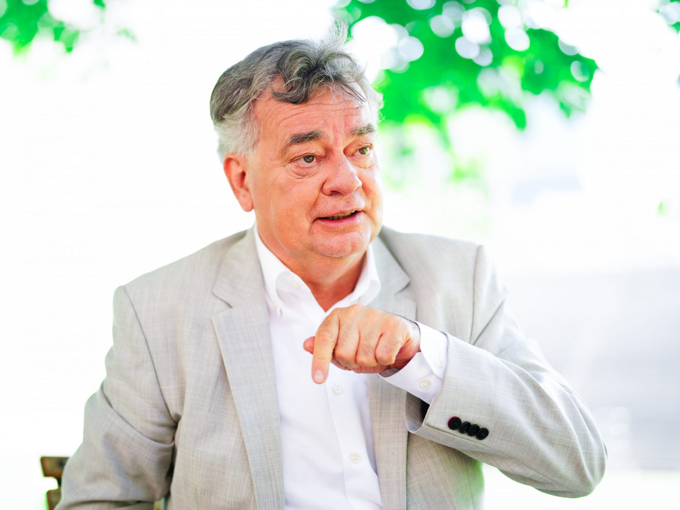 Vizekanzler Kogler wird zum Spitzenkandidaten der Grünen gewählt.