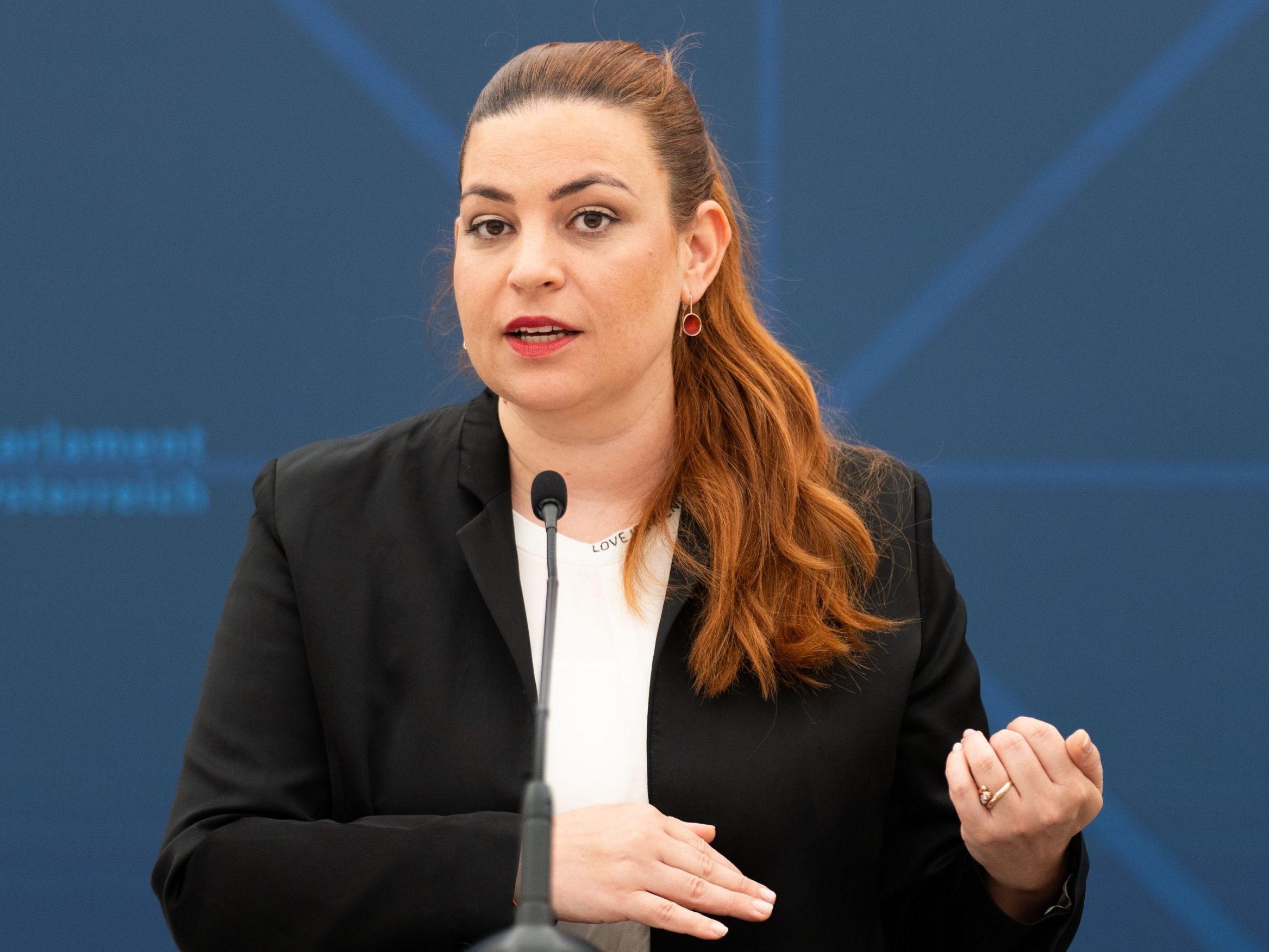 Tomaselli präsentierte den grünen Abschlussbericht zum COFAG-U-Ausschuss.