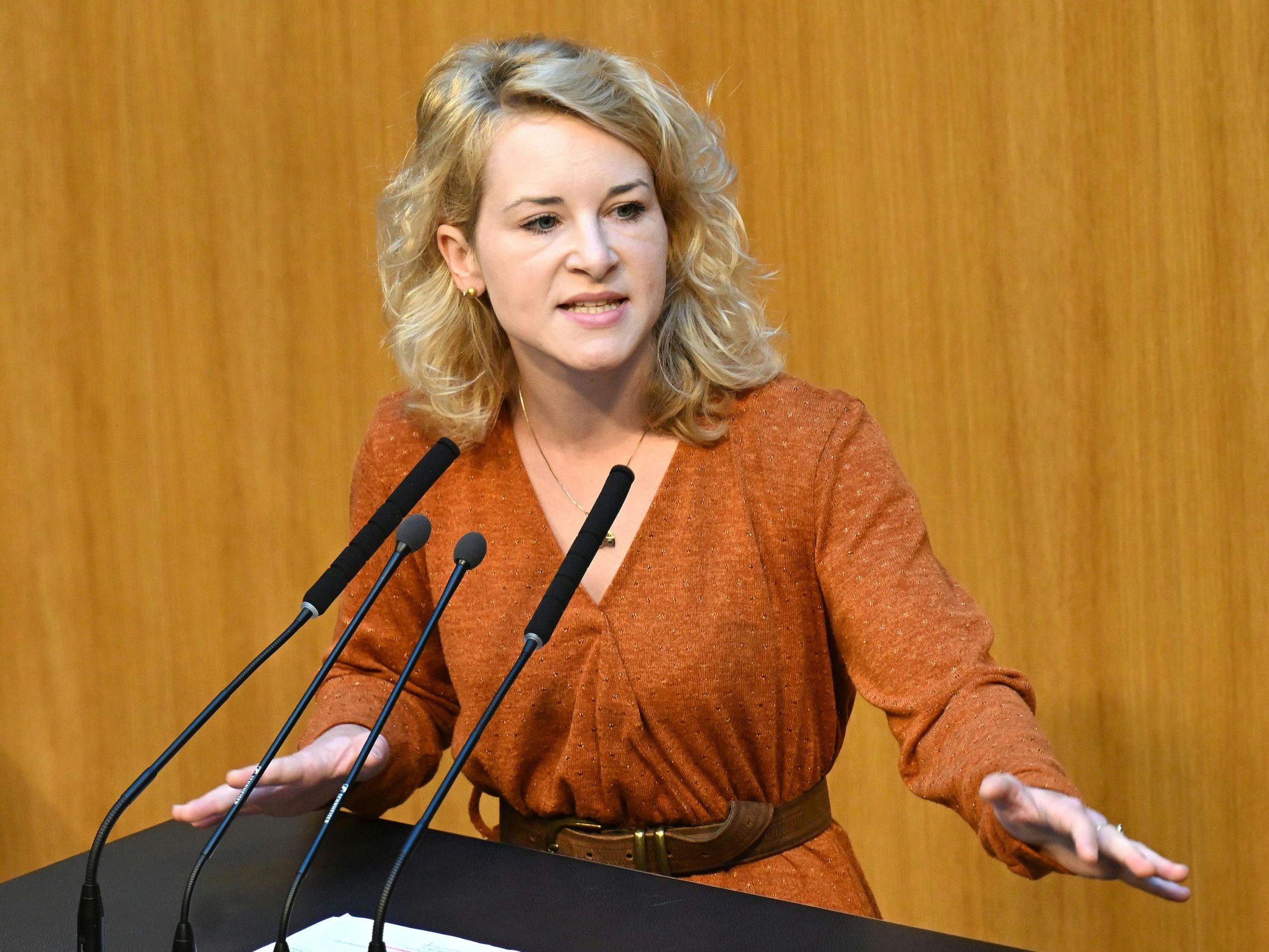 Holzleitner forderte im Nationalrat ein Recht auf ein "analoges Leben".