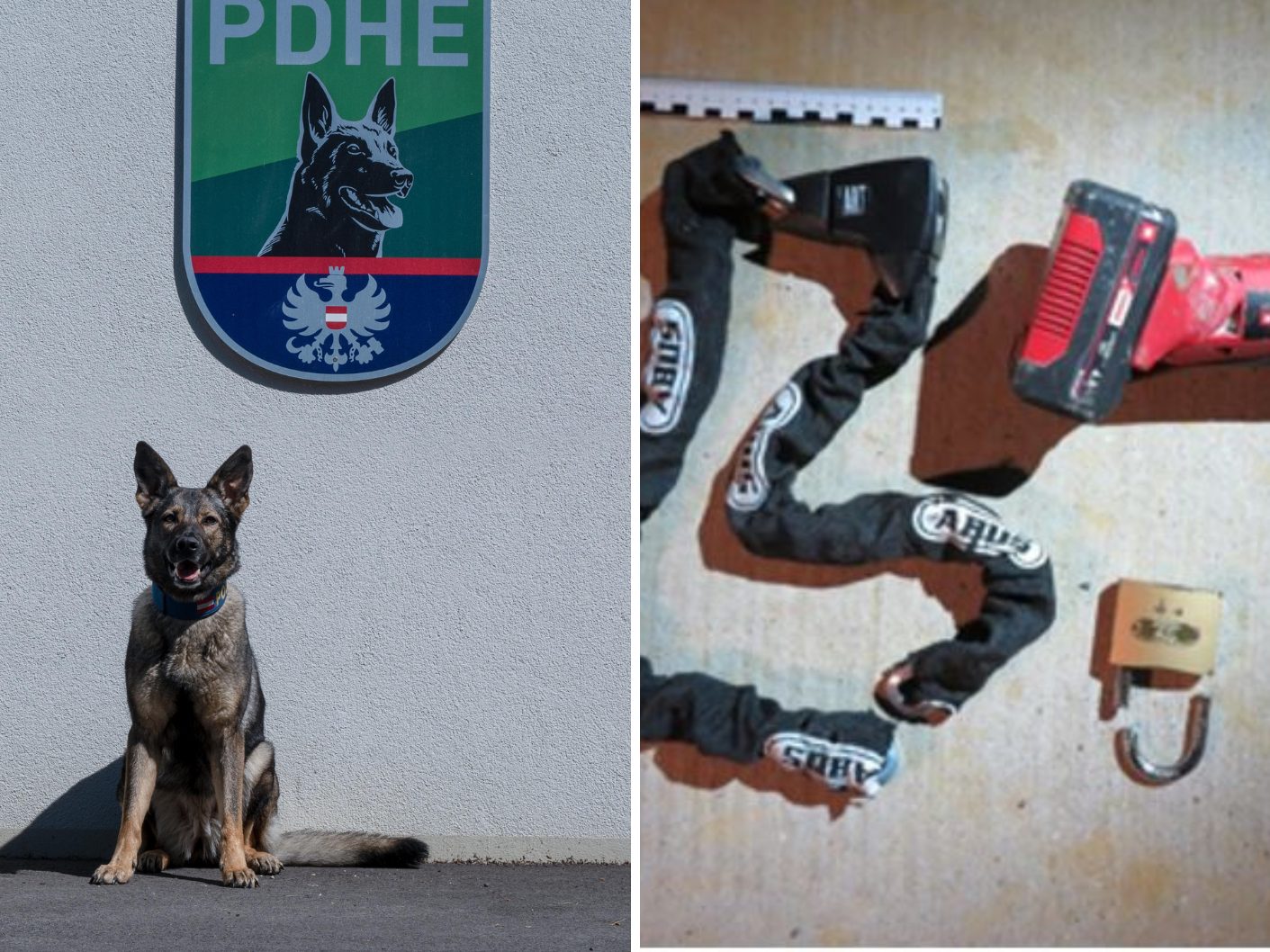 Polizeihündin „Mira von Dozsafalvi“ fand den Rucksack mit den Tatmitteln.