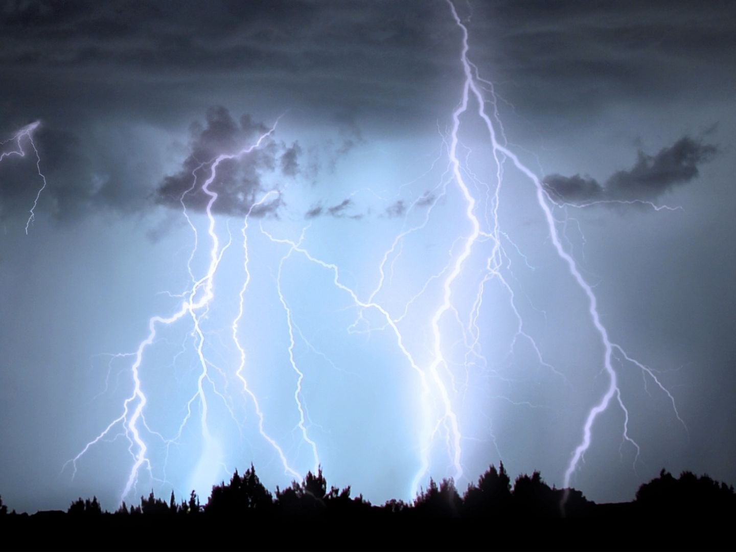Bei Regen und Sturm ist ein Blitz in einen Baum eingeschlagen.