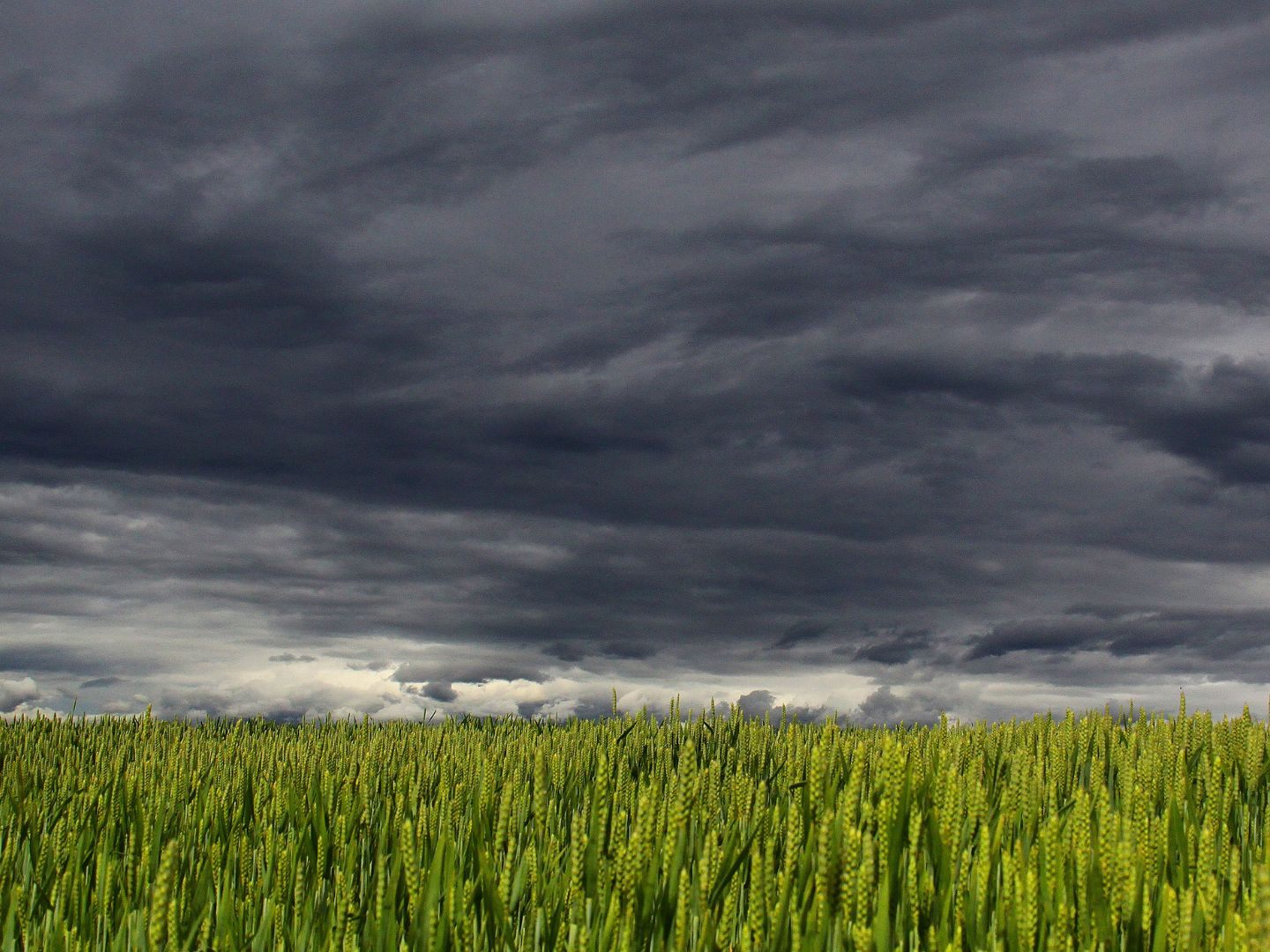Der Klimawandel bringt höhere und feuchtere Gewitterwolkentürme. Der Klimawandel bringt höhere und feuchtere Gewitterwolkentürme.