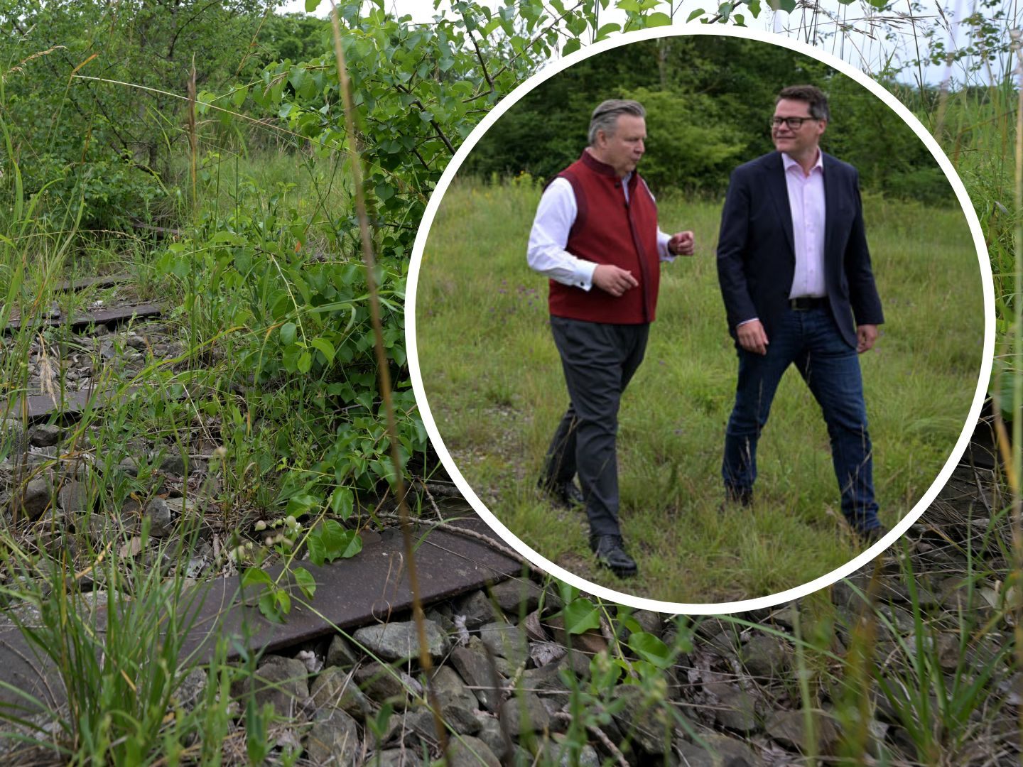 Ein Blick auf einen Teil eines 90 Hektar großen Gebiets in Wien-Donaustadt das als Naturschutz-Areal renaturiert werden soll.